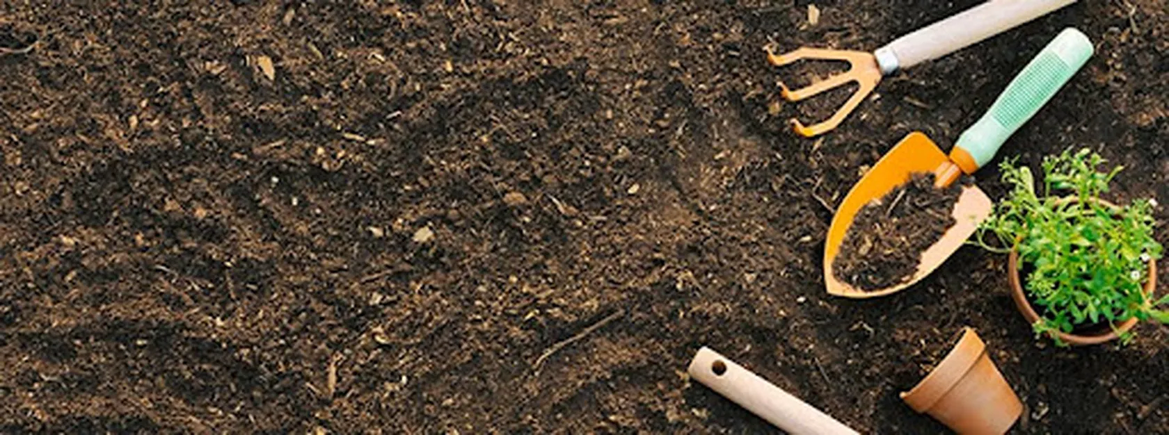 caratula-huerto-blog.jpg