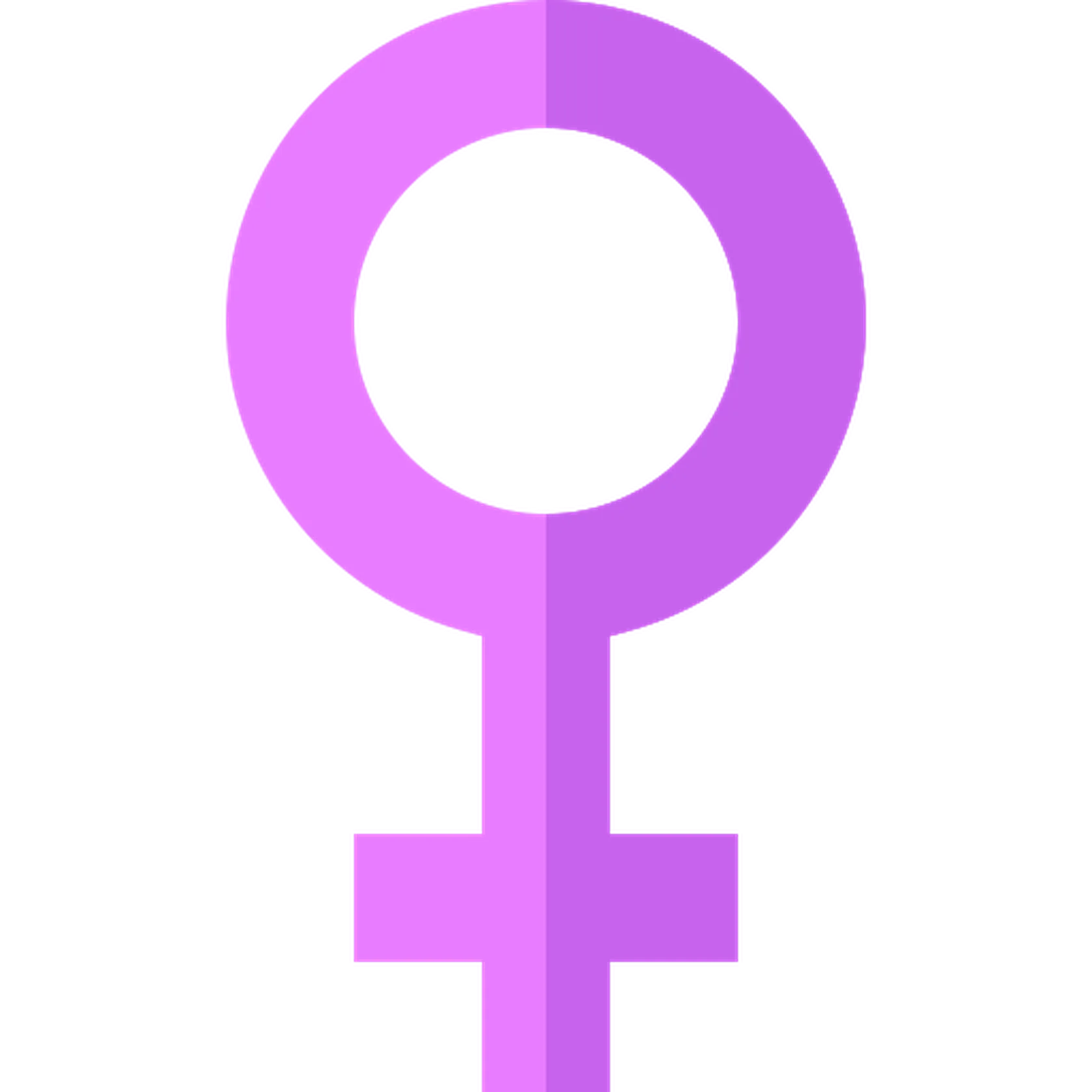 feminista.png