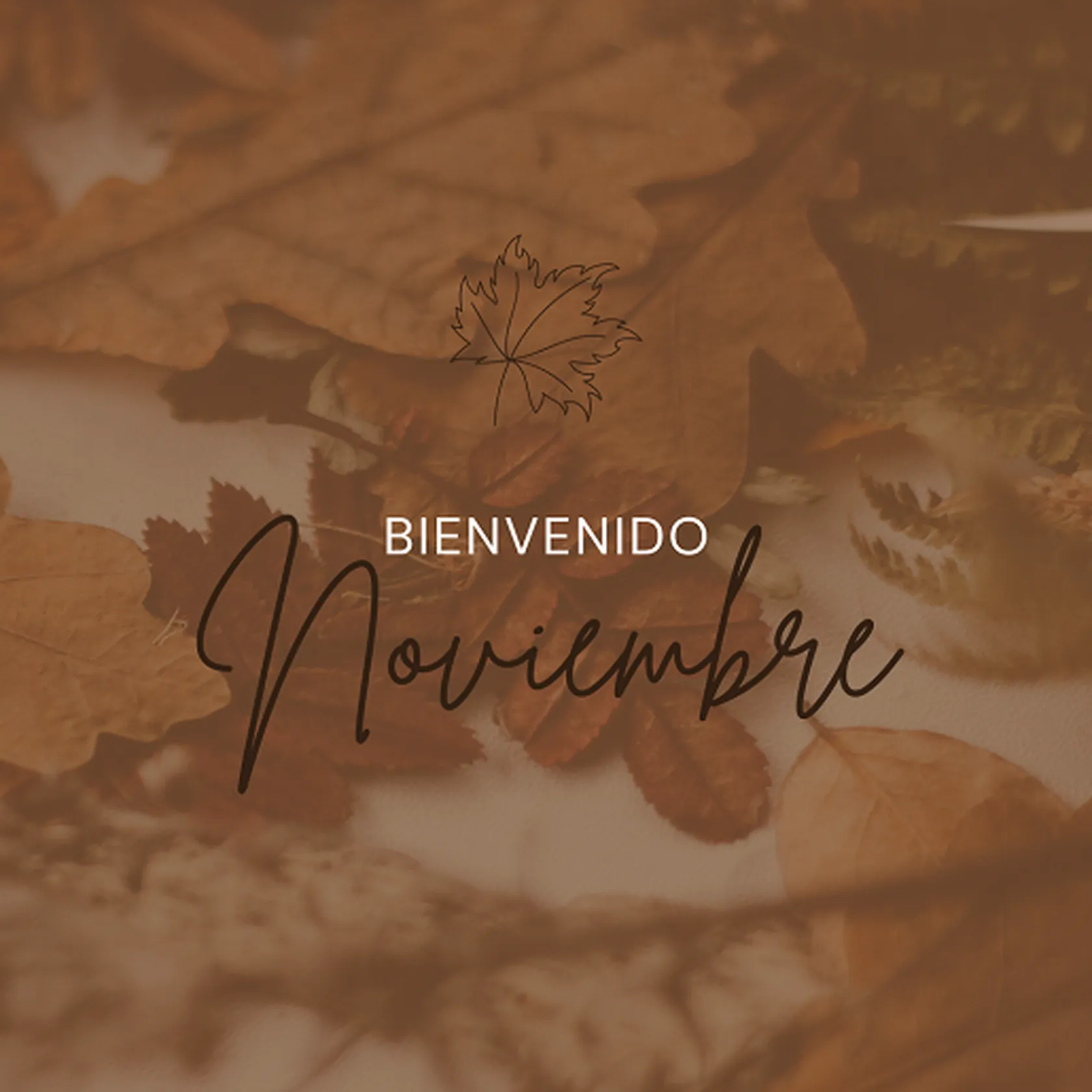 Post-de-Instagram-Bienvenido-Noviembre-Delicado-Bonito-Marron.png