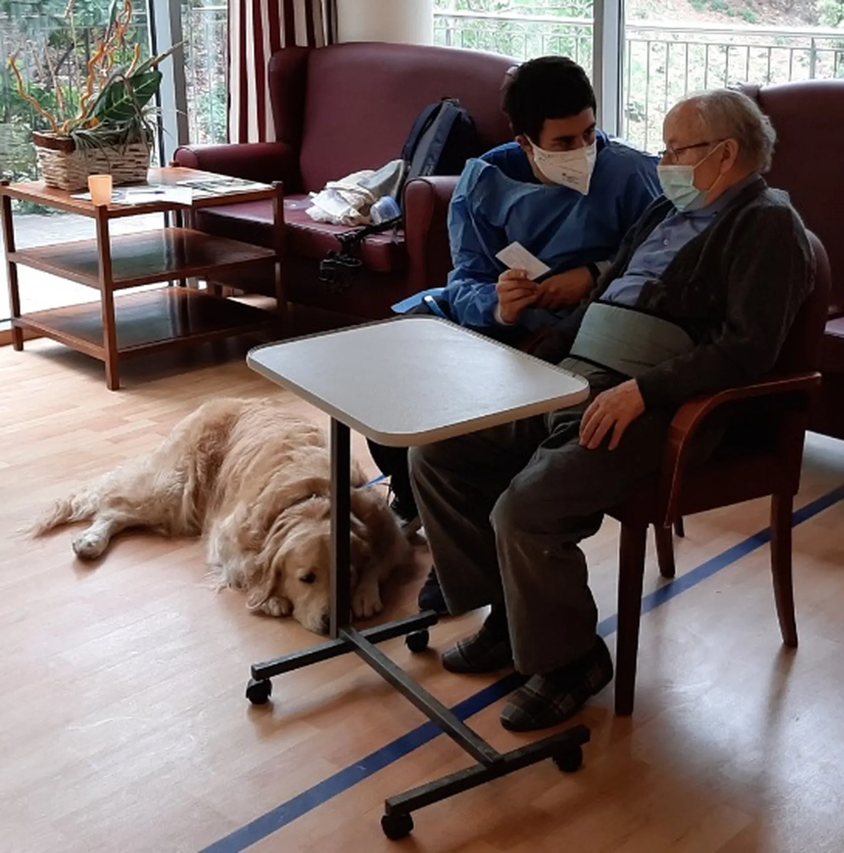 Terapia-de-Perros-Dario-Rojo.jpg