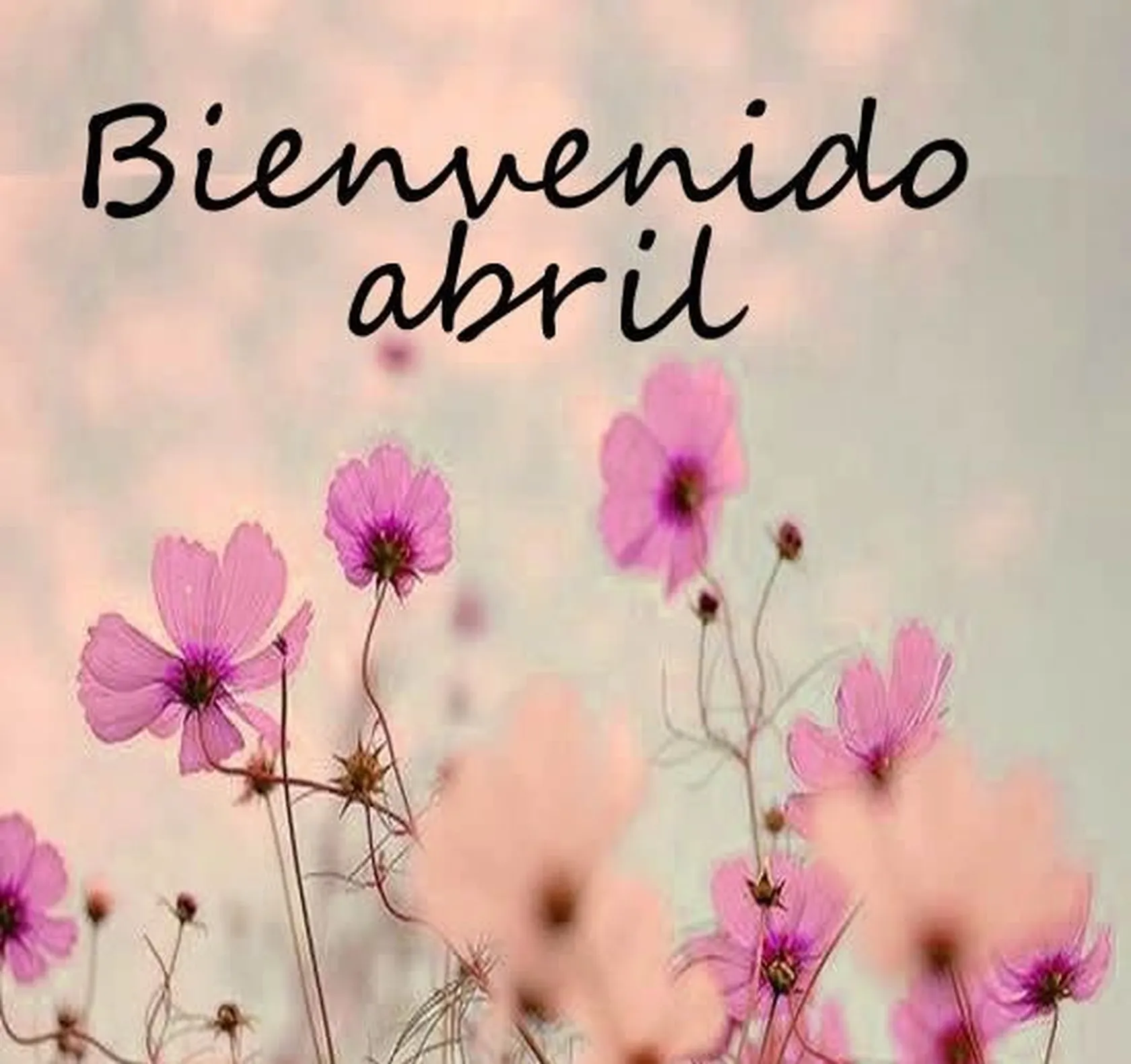 abril1.jpg