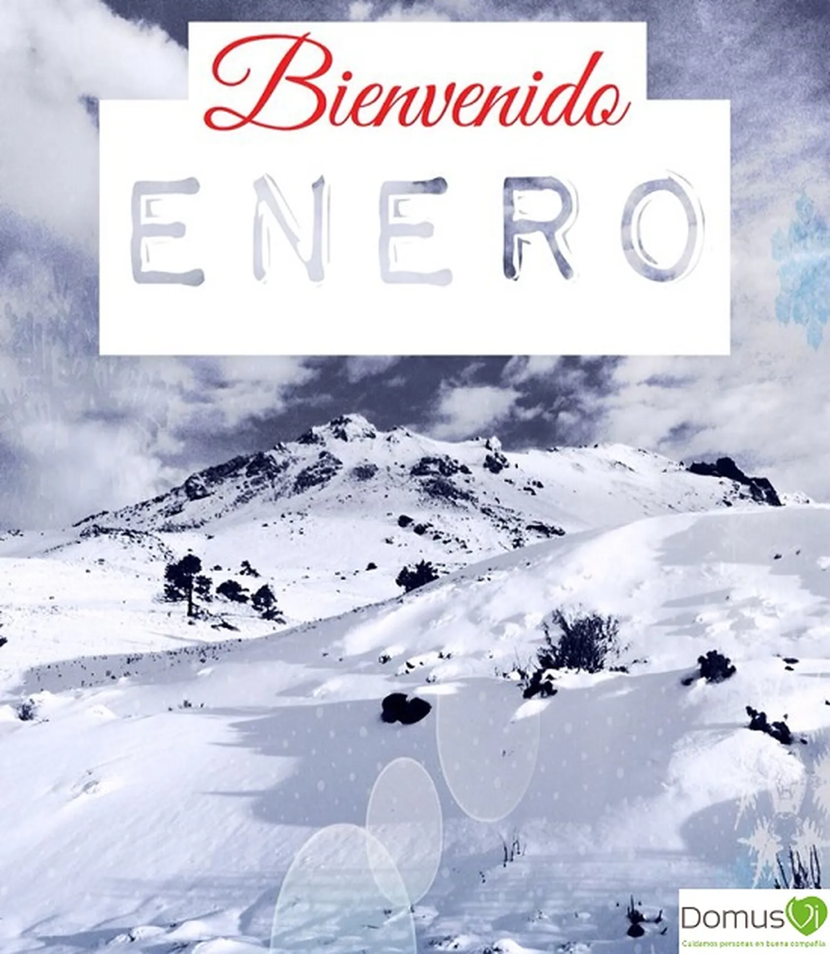 ENERO-7.jpg