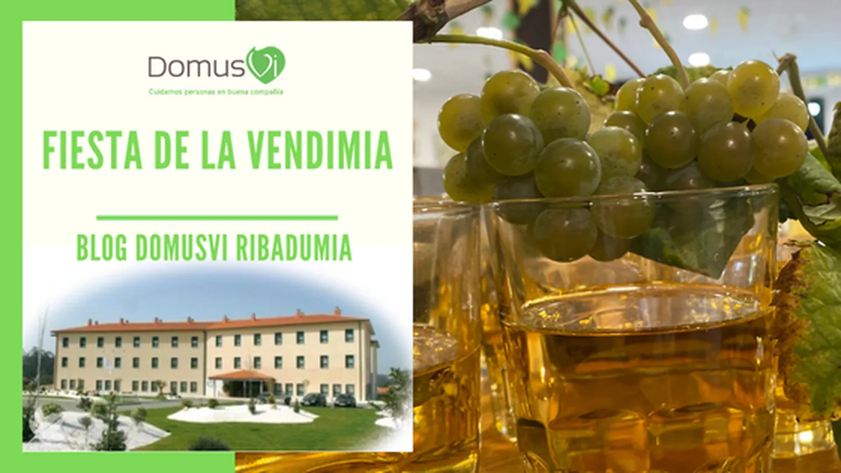 Fiesta-de-la-vendimia-2022-DomusVi-Ribadumia.png