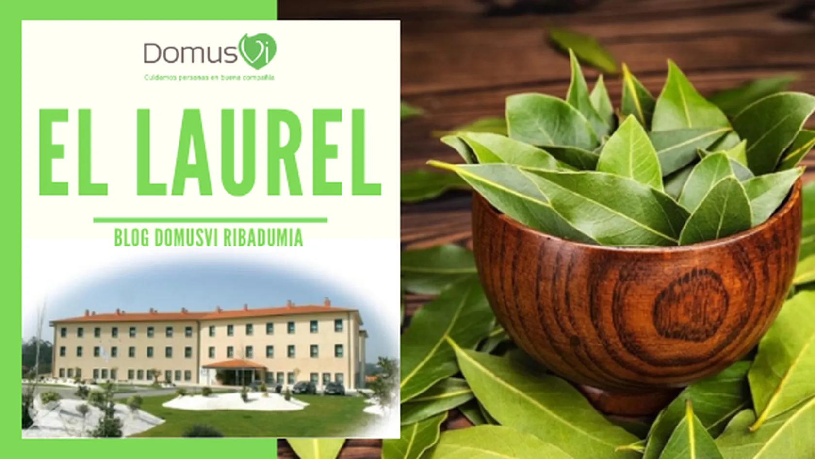 DomusVi-Ribadumia-el-laurel.png
