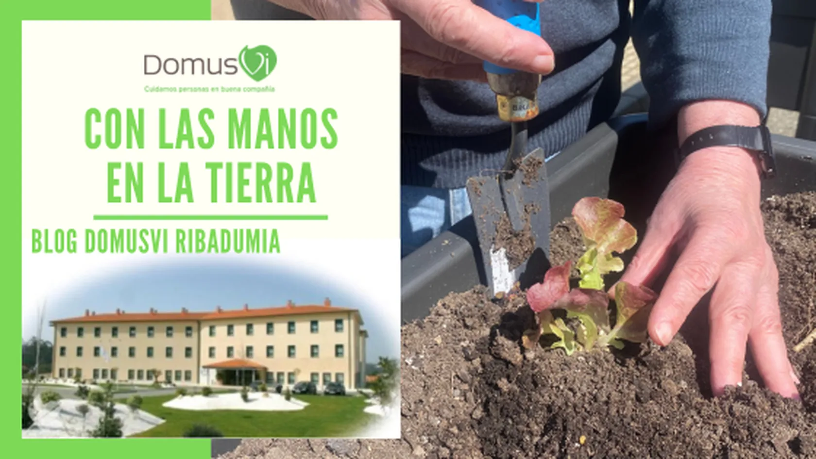 Con-las-manos-en-la-tierra-portada-blog.png