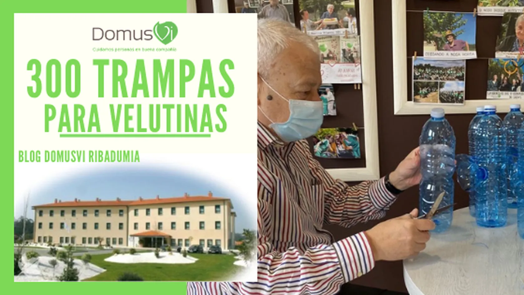 300-trampas-para-velutinas-DomusVi-Ribadumia-2021-1.png