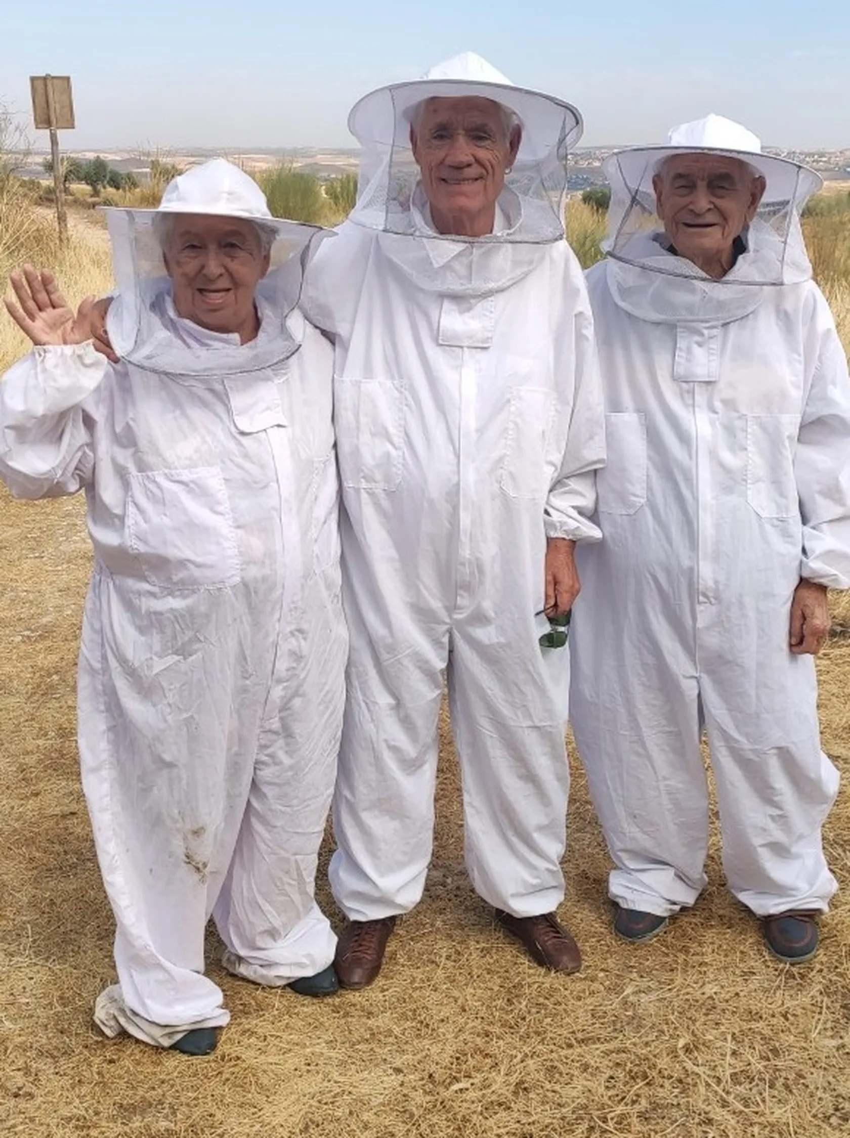 Abejas-Domusvi-Real-Deleite-8.jpg