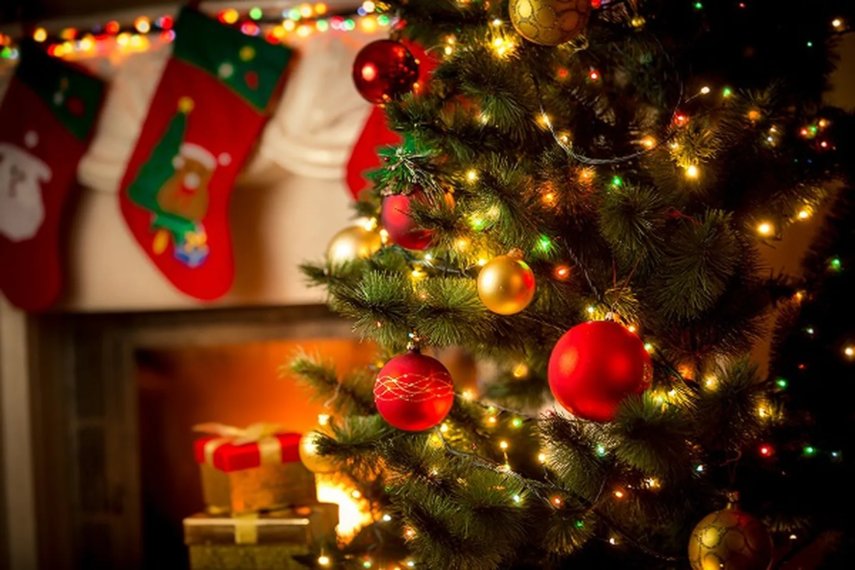 arbol-navidad_0.jpg