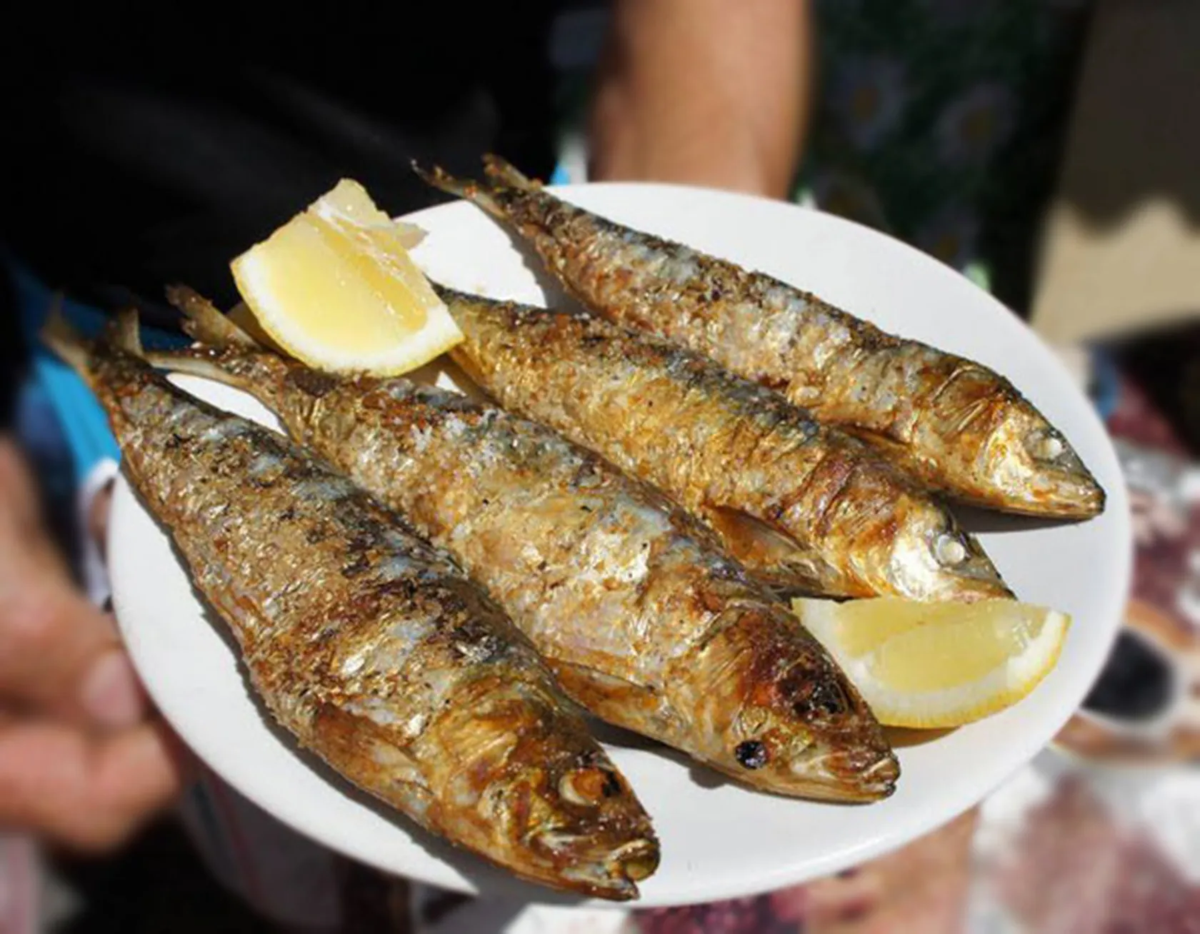 sardinada02.jpg