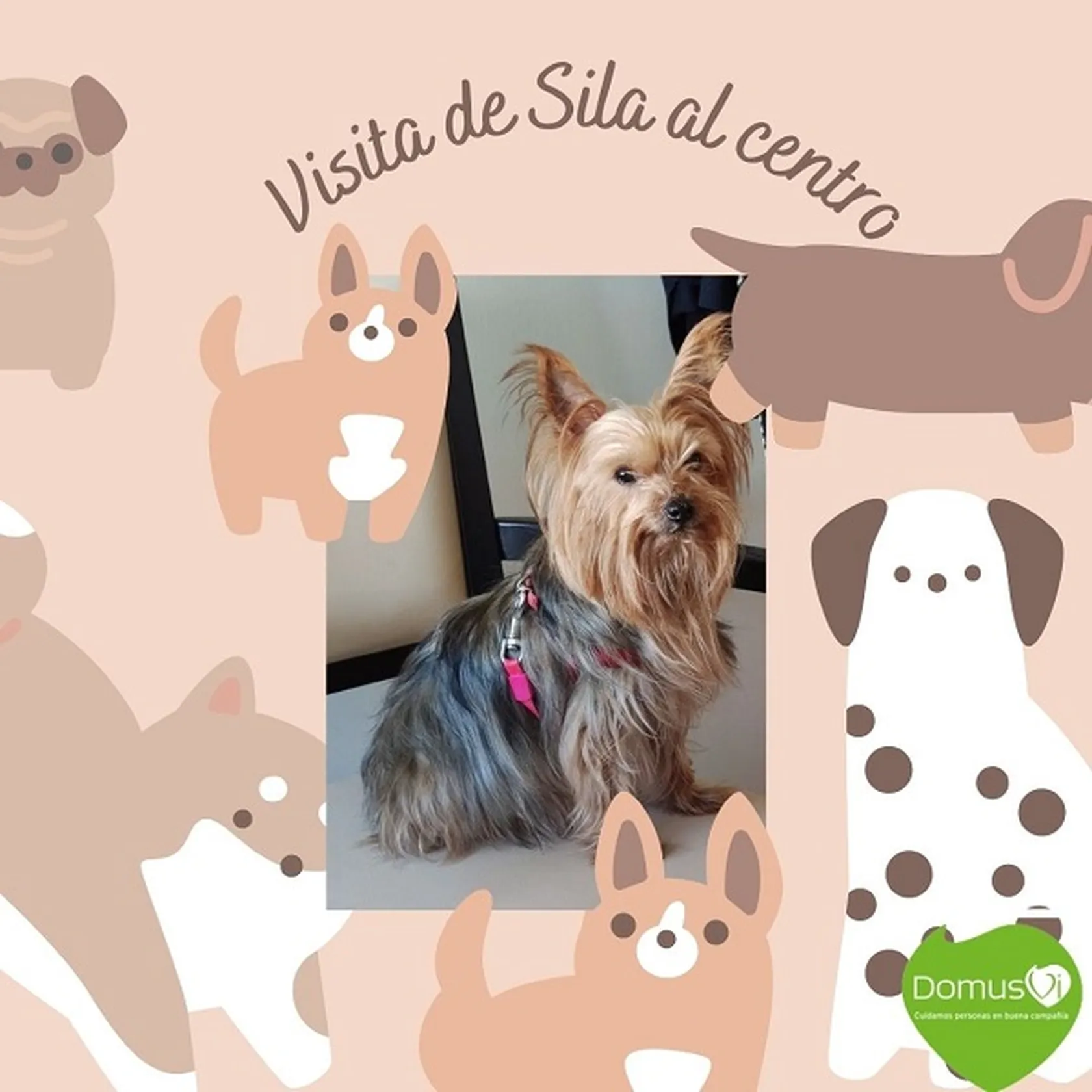 Post-de-instagram-amor-perruno-tierno-marron.jpg