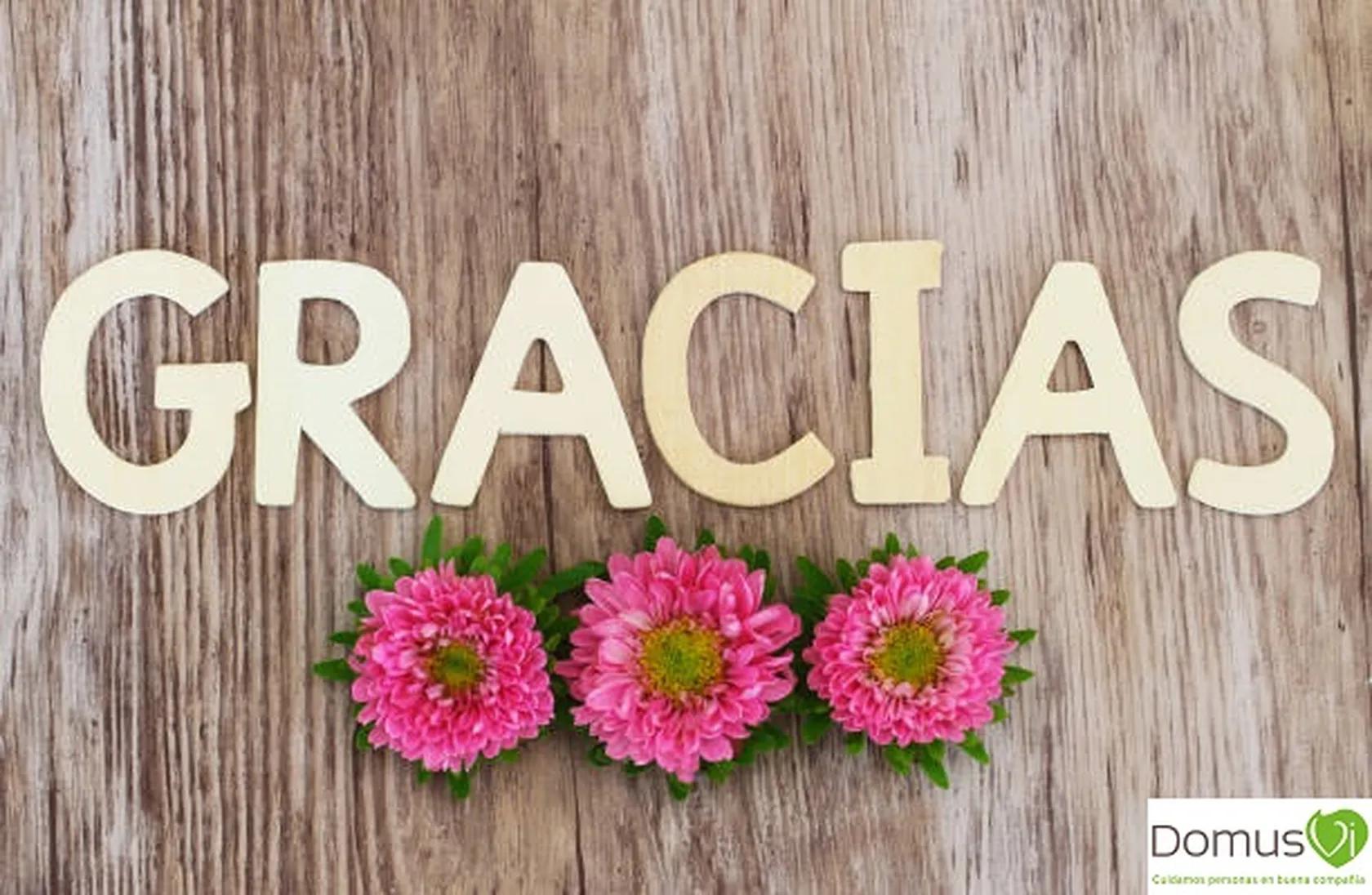 gracias1.jpg