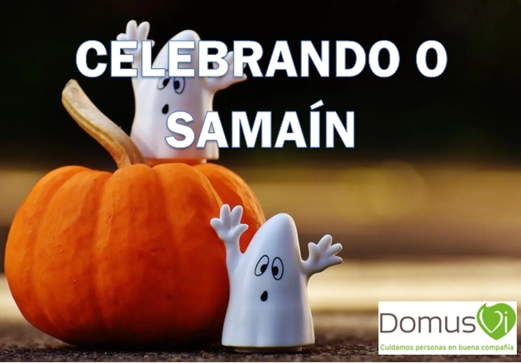 SAMAINVIGO.jpg