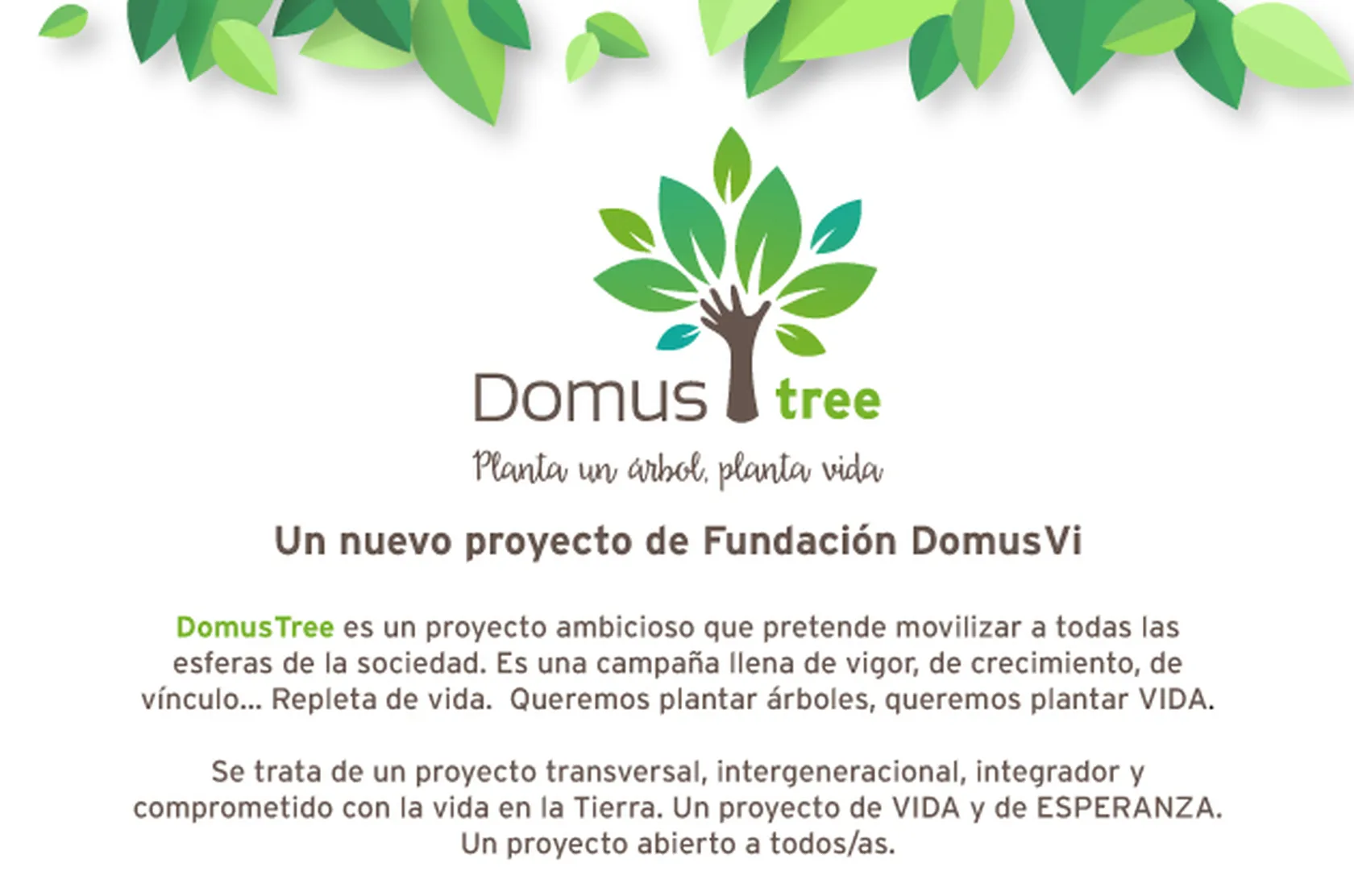 Planta-un-árbol-planta-vida-DomusVi-Nuestra-Señora-del-Camino-.jpg
