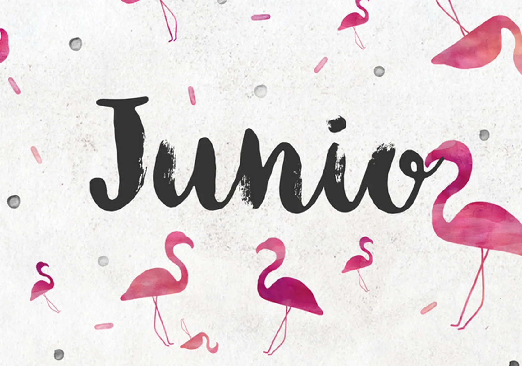 junio.png