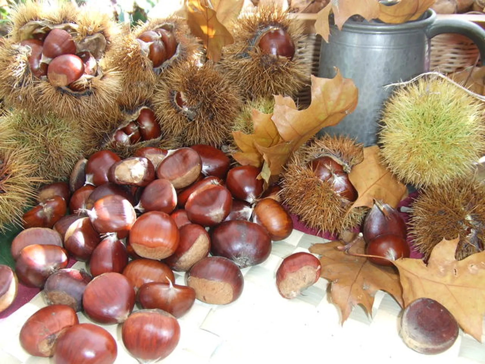 Magosto-Cocina-de-Cuqui-mis-recetas.jpg