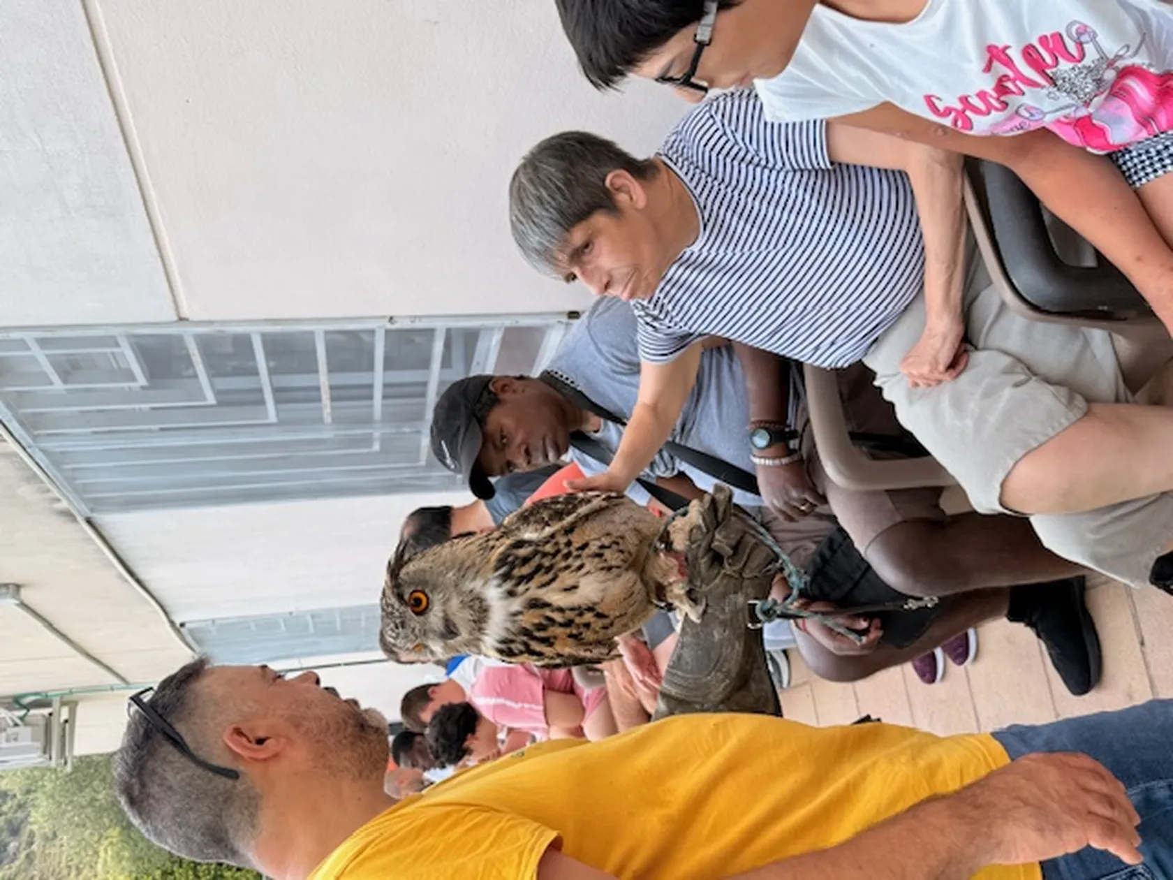 7d630a51-2019-4723-ae89-4889f2a50753.jpeg