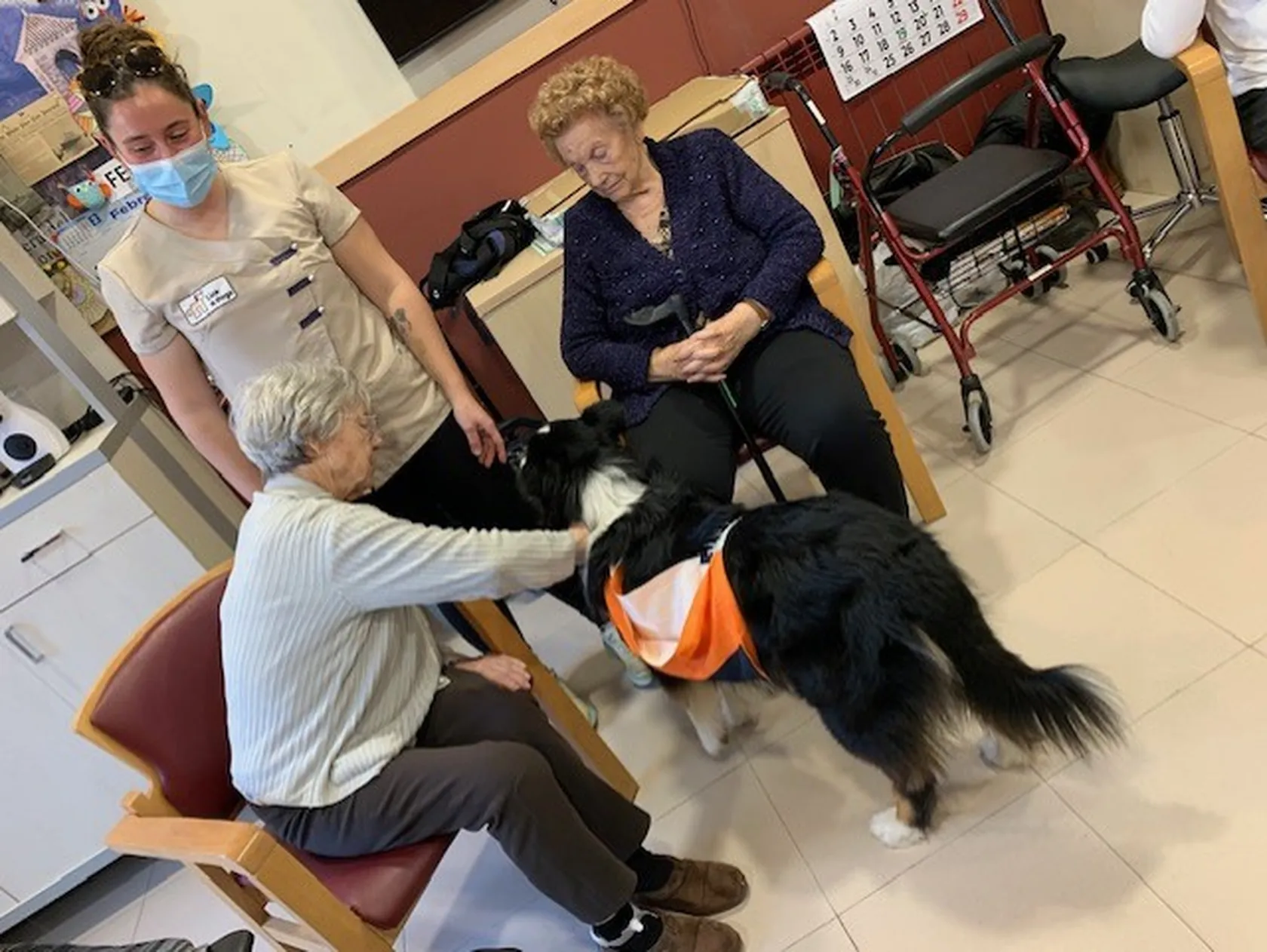 0beb3c11-e908-4f49-8985-8043af3598f2.jpg