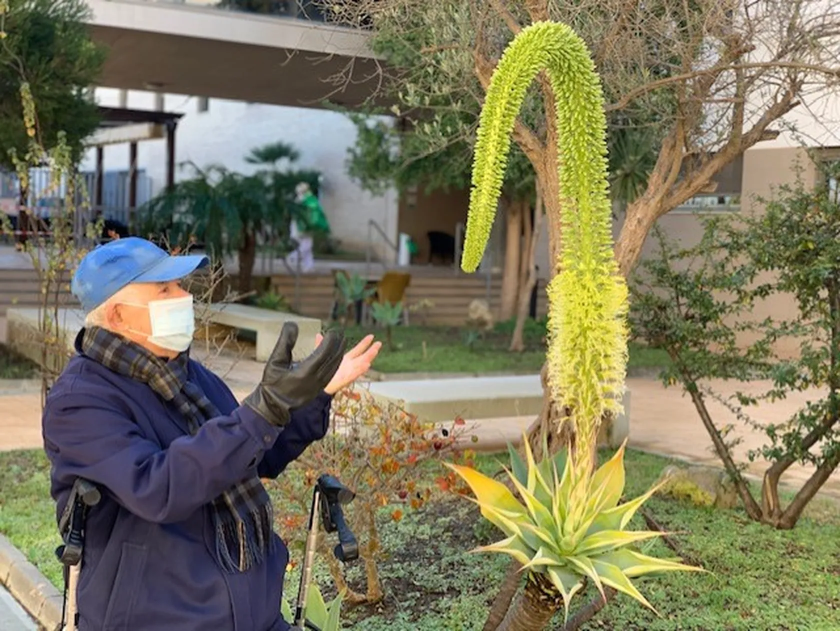 Jardin-Micaela.png