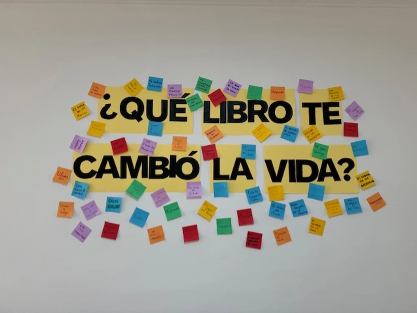 5e03cc6b-4f6b-4ec2-8e39-d33e136c97a3.jpg