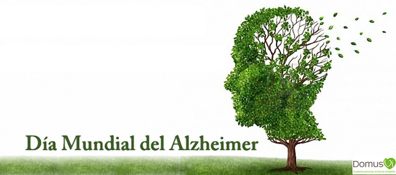 alzheimer013.png