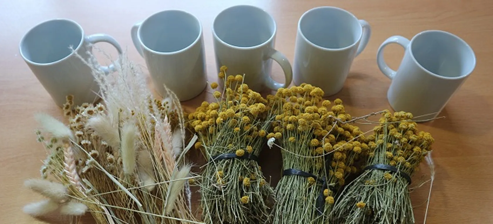 P.-Taller-de-flores-en-taza-DomusVi-Santa-Pola-1.jpg