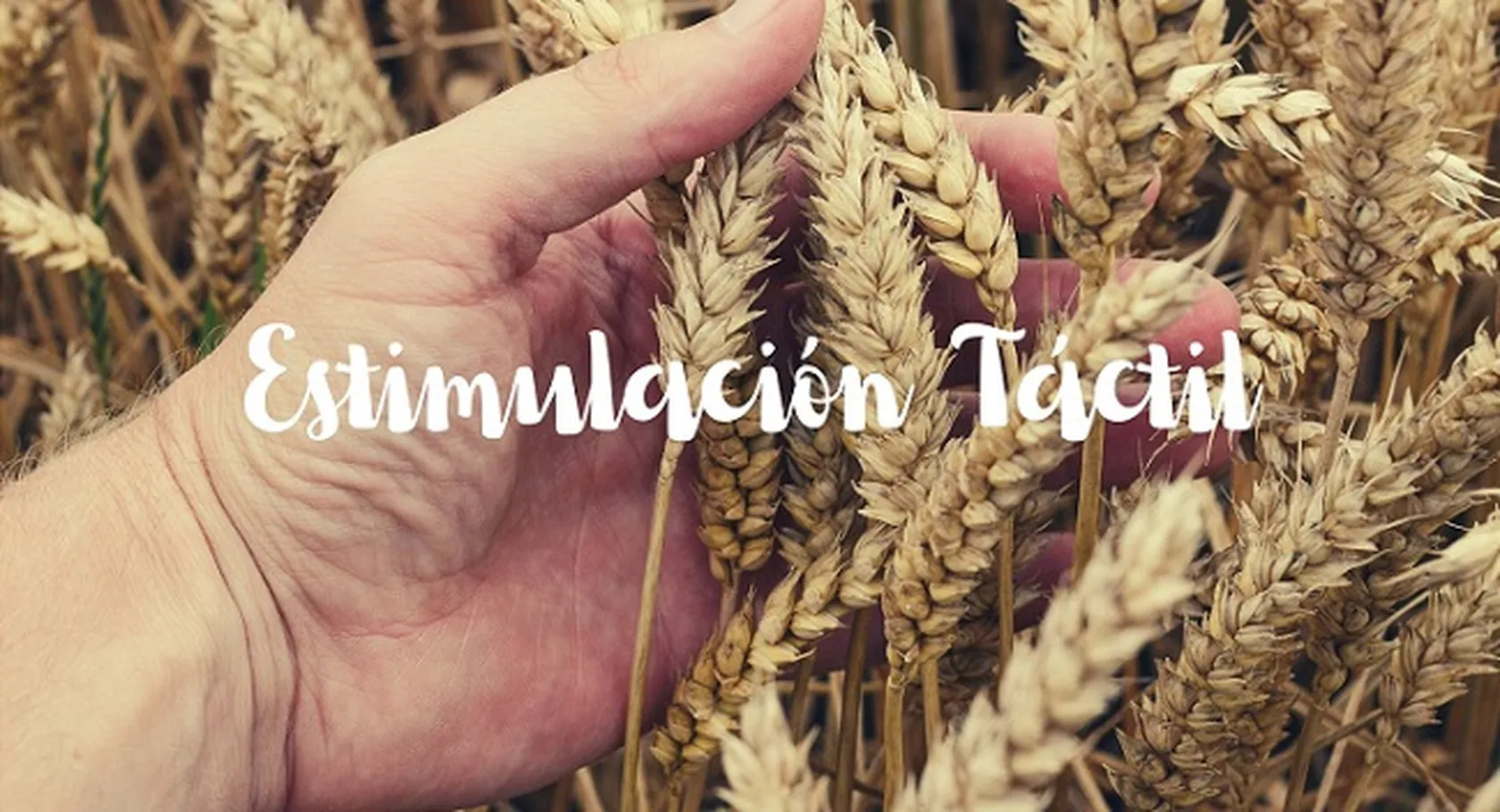 Estimulacion-Tactil.jpg
