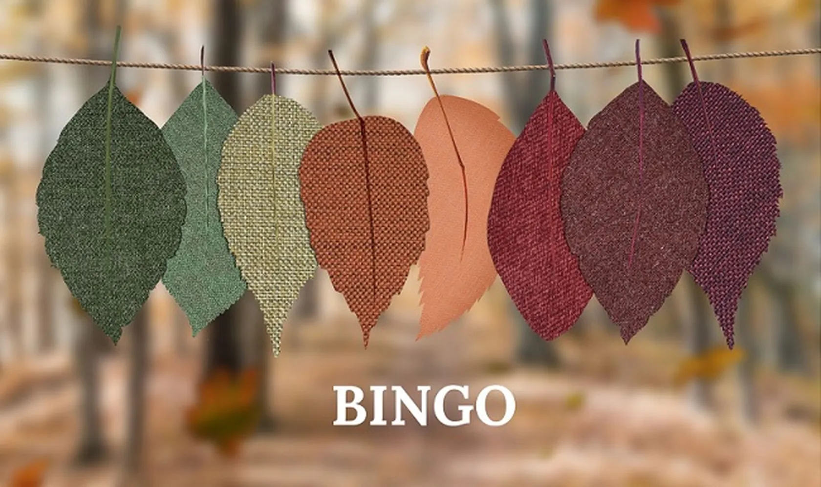 BINGO.jpg