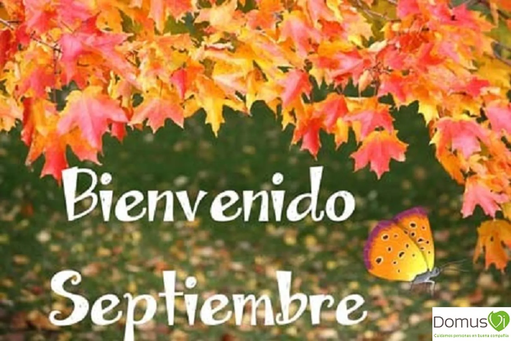 bienvenido-septiembre-con-mariposa1.jpg