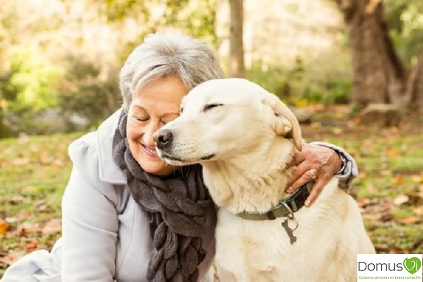 terapia-canina-domusvi.jpg