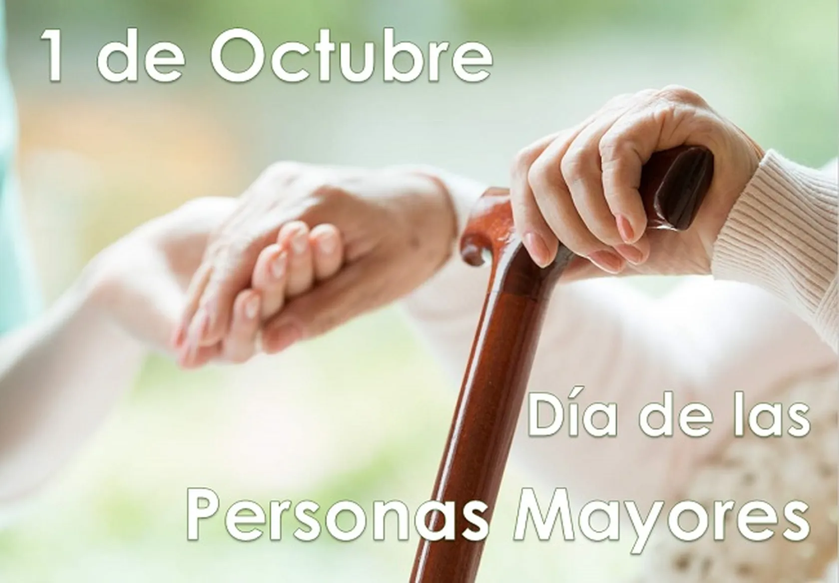 Portada-dia-de-las-personas-mayores.jpg