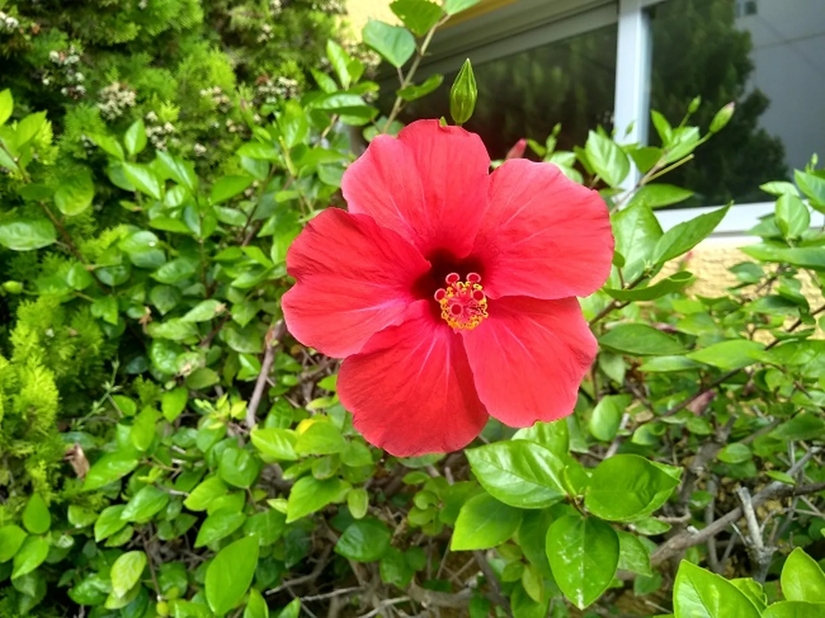 IMG_20190819_182949010_HDR.jpg