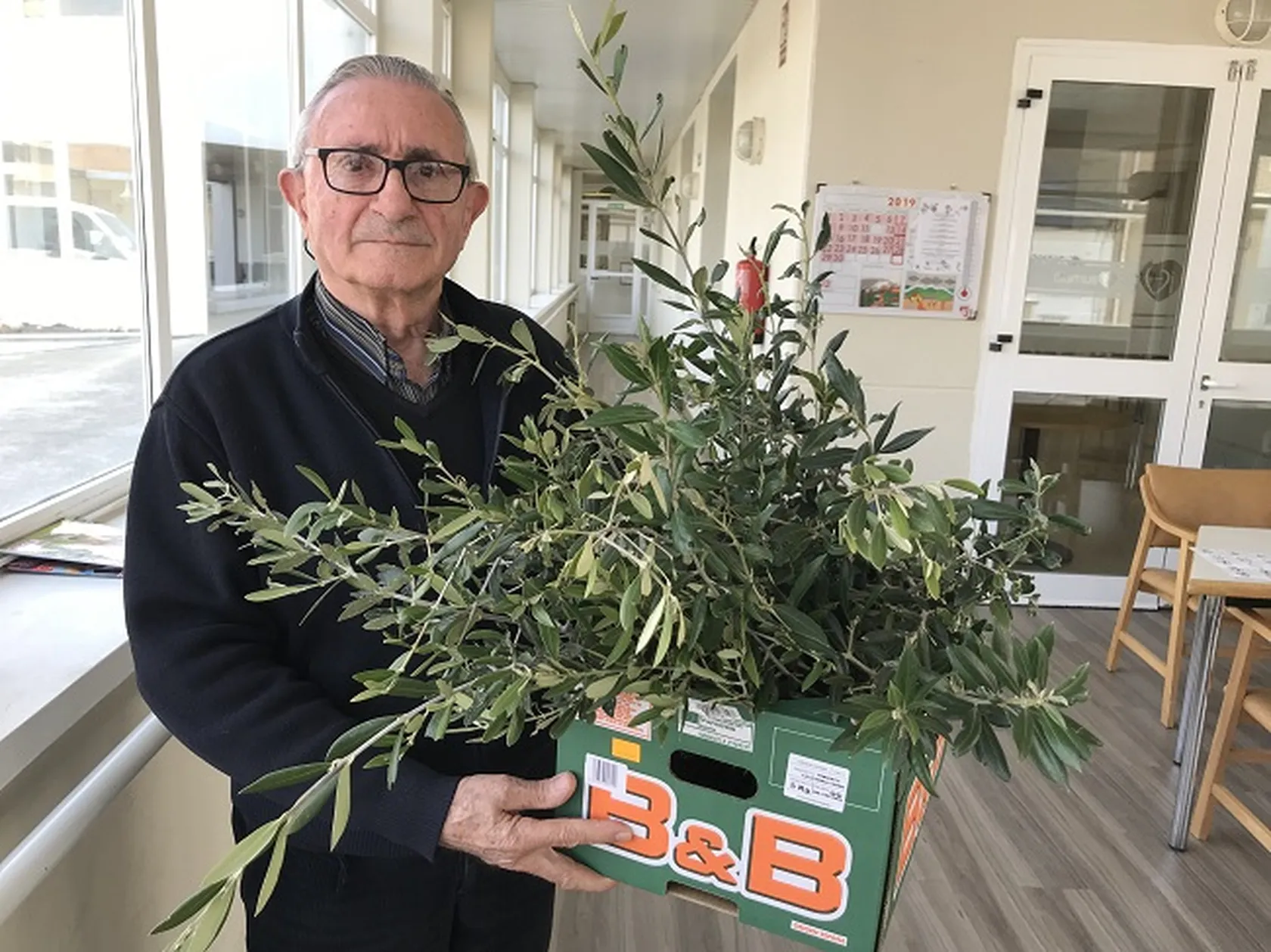 SA-Olivos-1.jpg