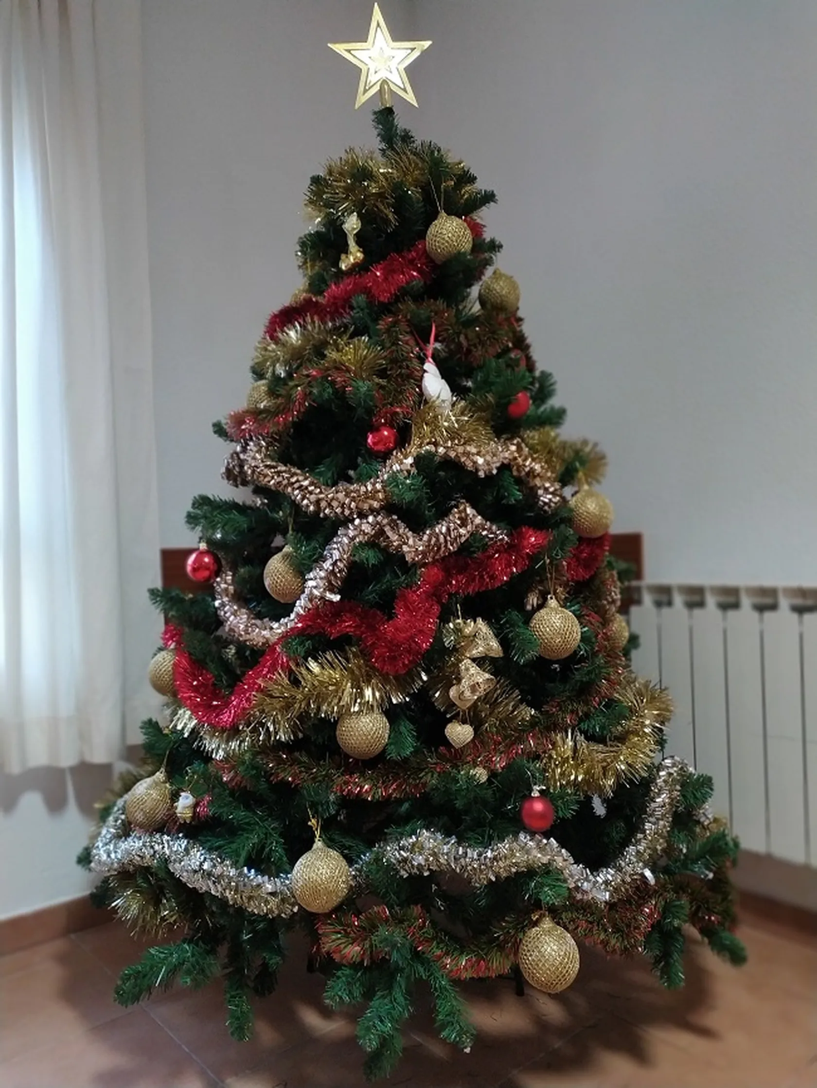 IMG_20191203_165447.jpg