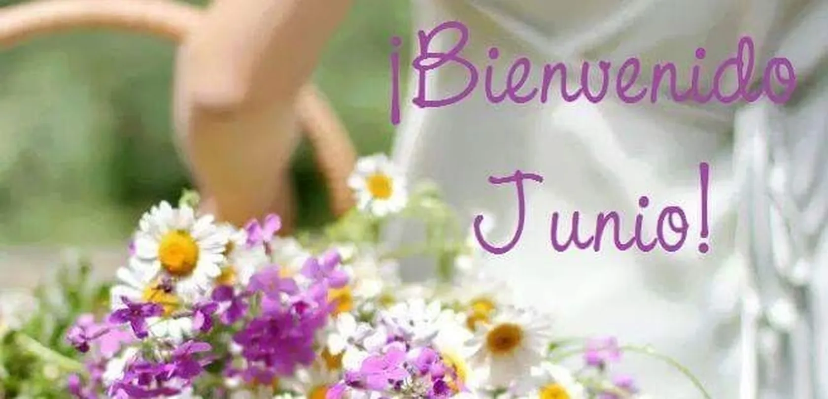 junio2.jpg