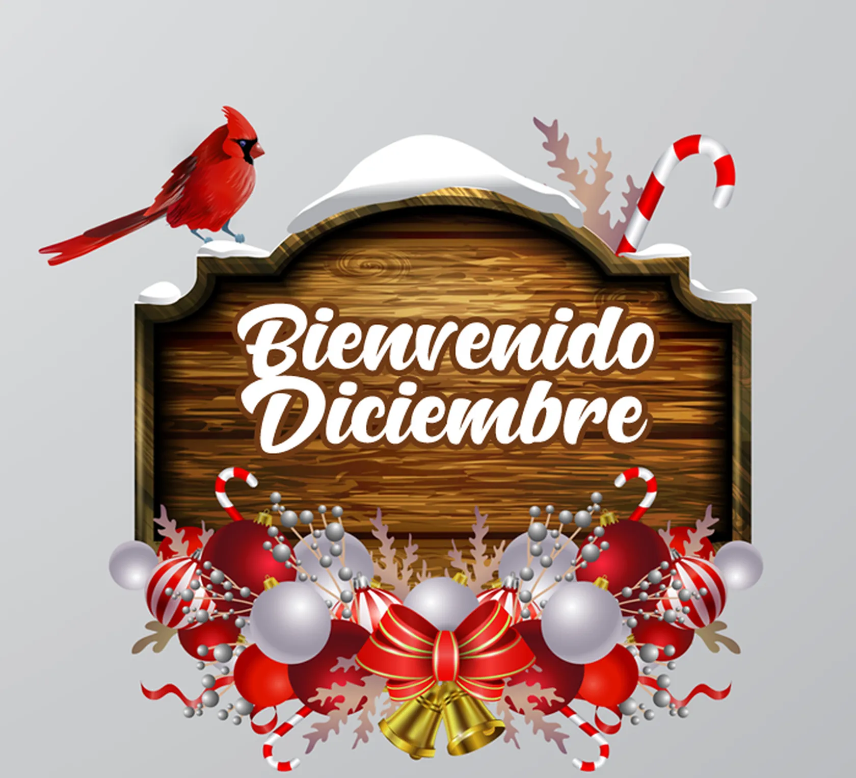 portada-definitiva.png