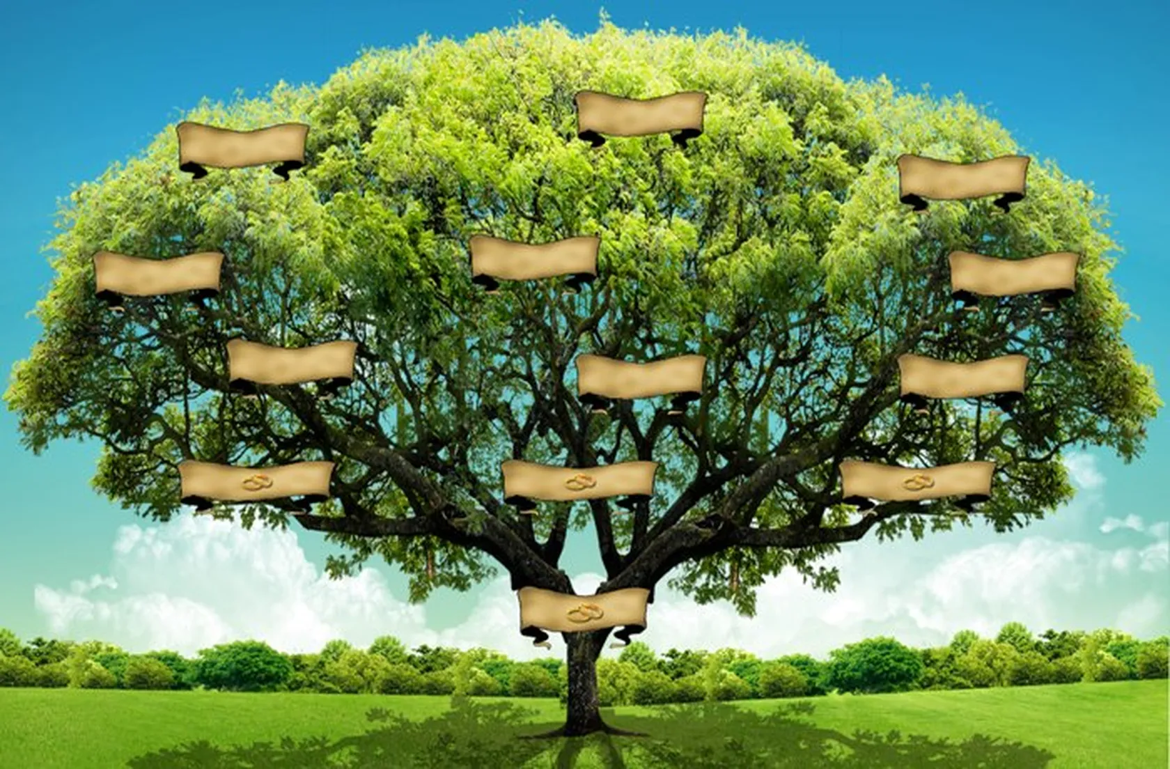 arbol-genealogico.jpg