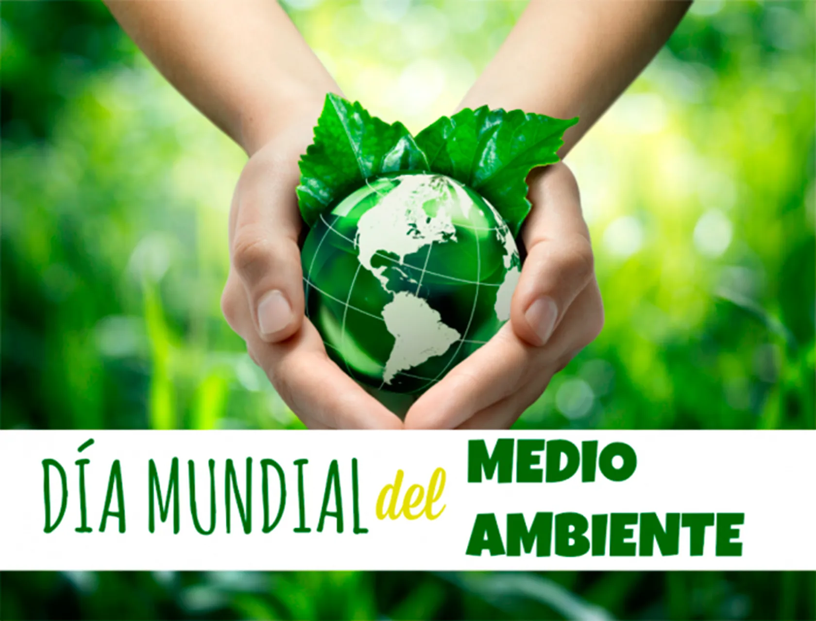 DIA-MUNDIAL-DEL-MEDIOAMBIENTE.jpg