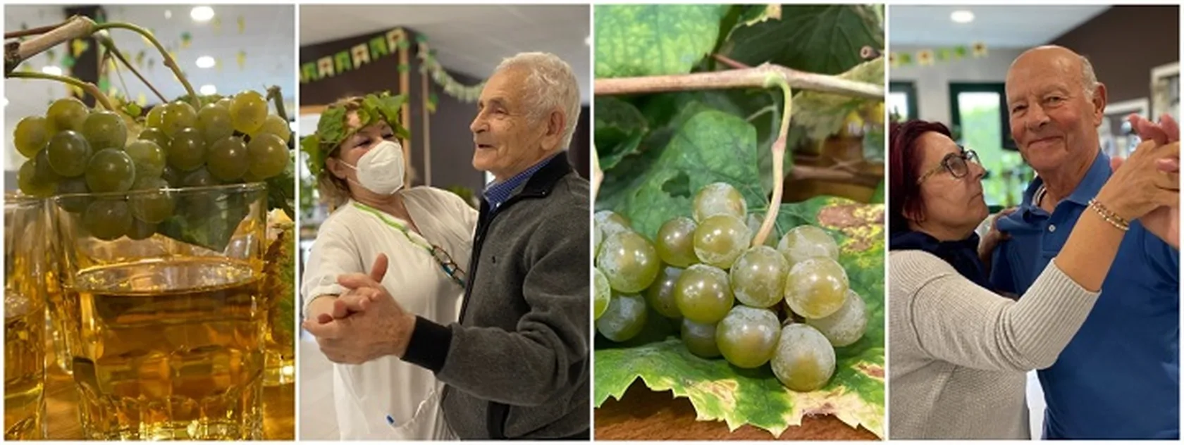 cultura-del-vino-DomusVi-Ribadumia.jpg