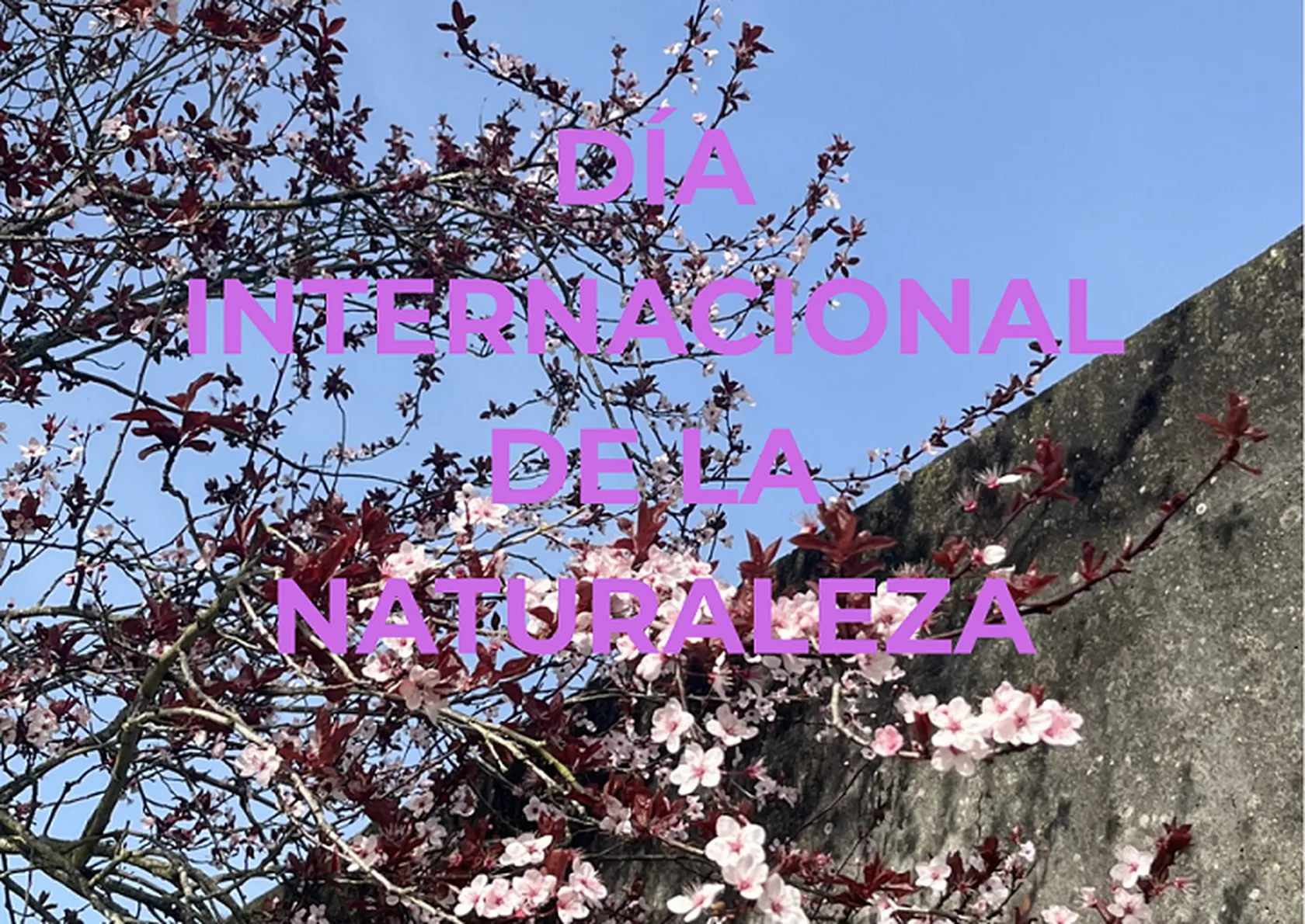cb4aafbe-e58c-43c3-b4c5-8e93532d19e1.png