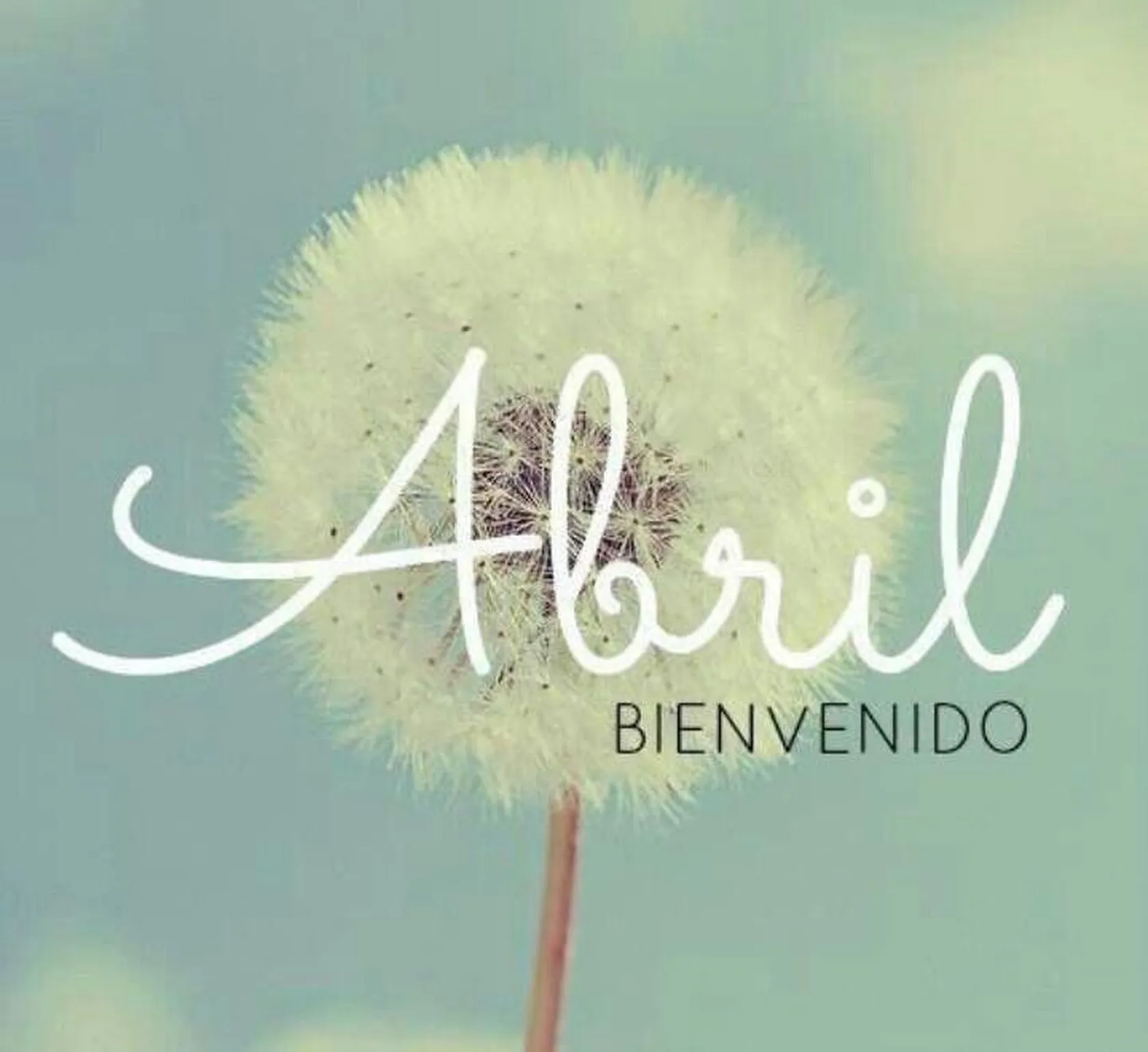 abril.jpg