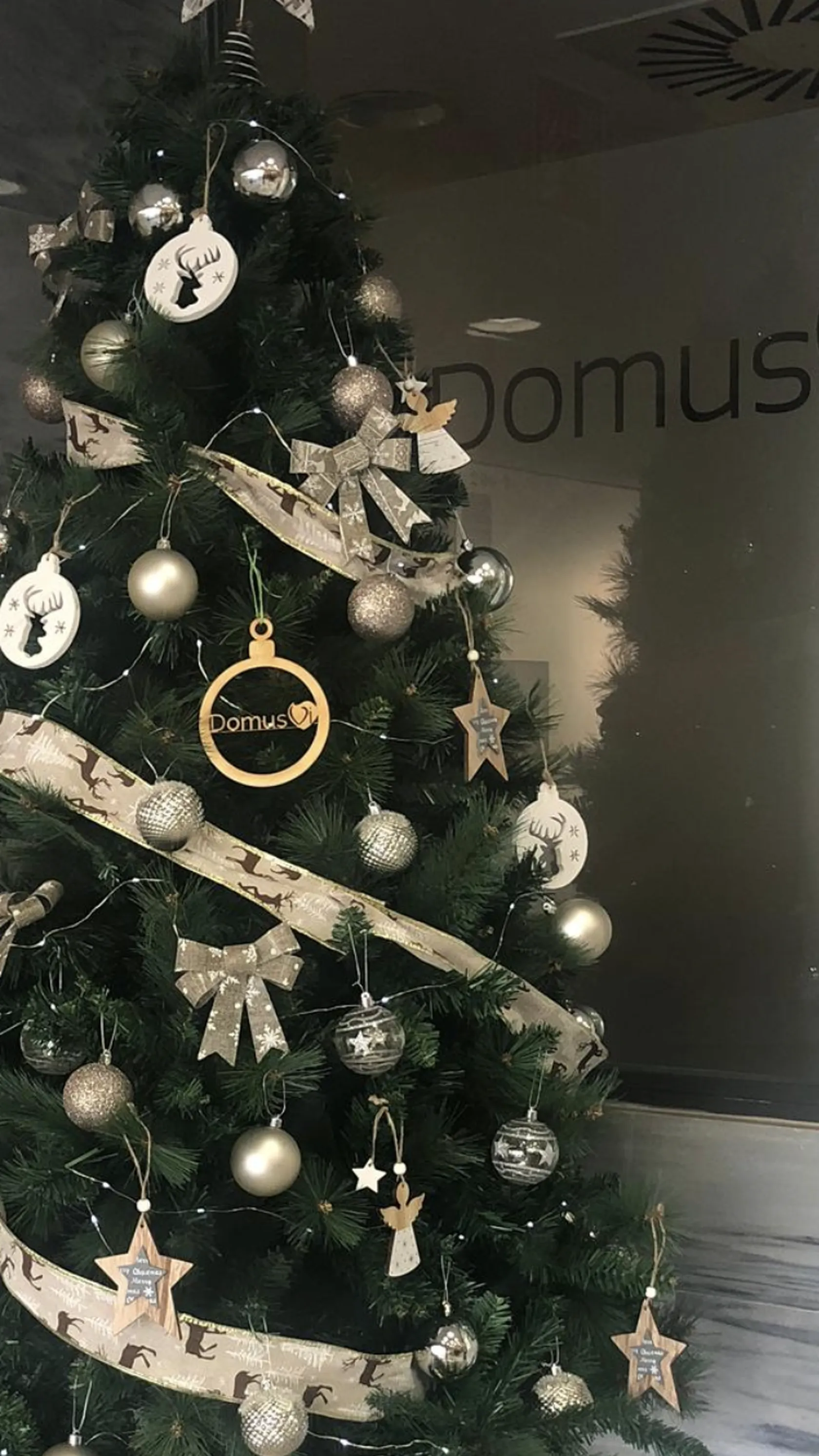PORTADA-NAVIDAD-EN-DOMUSVI-TRES-CANTOS.png
