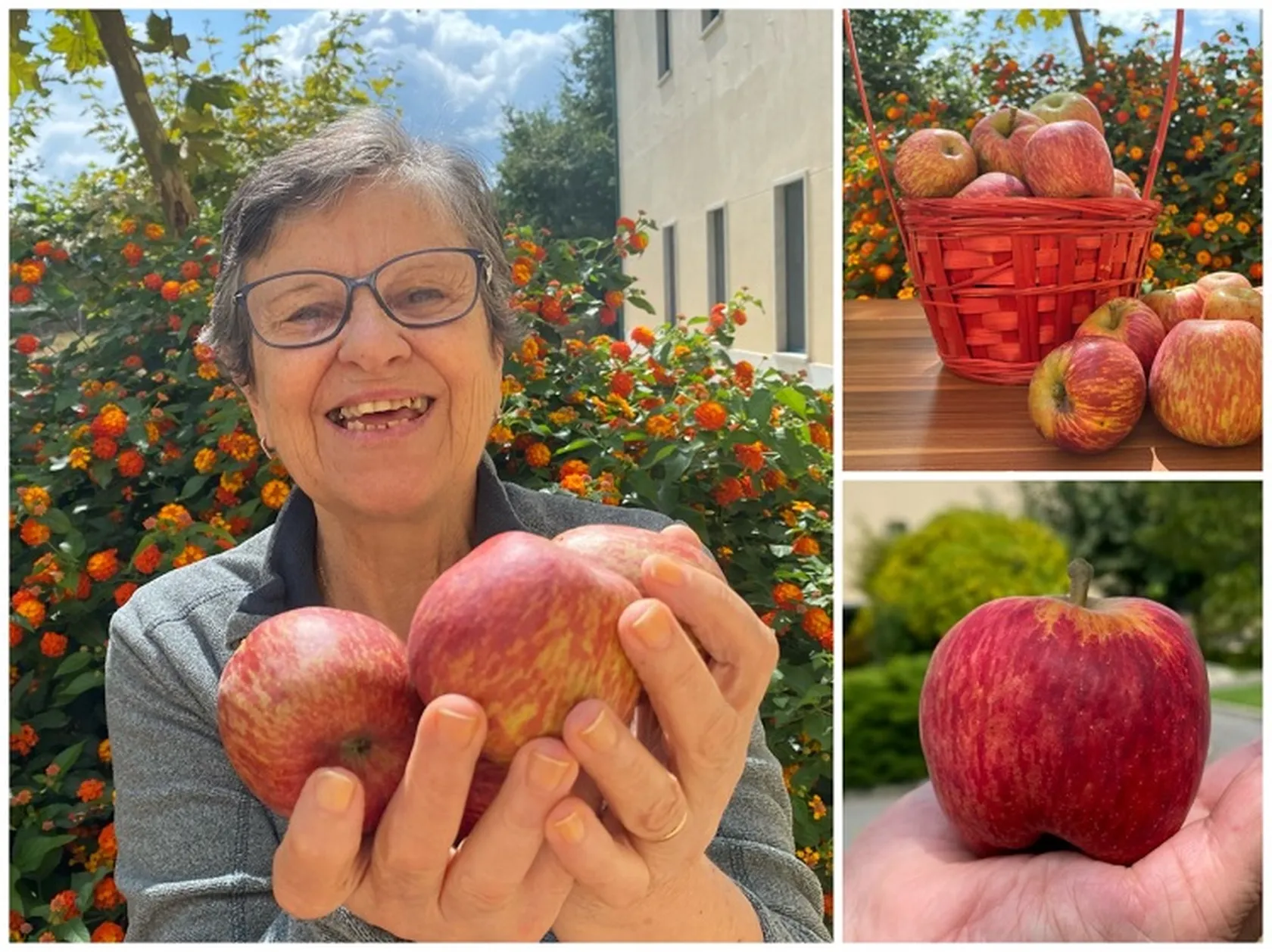 Manzanas-DomusVi-Ribadumia.jpg