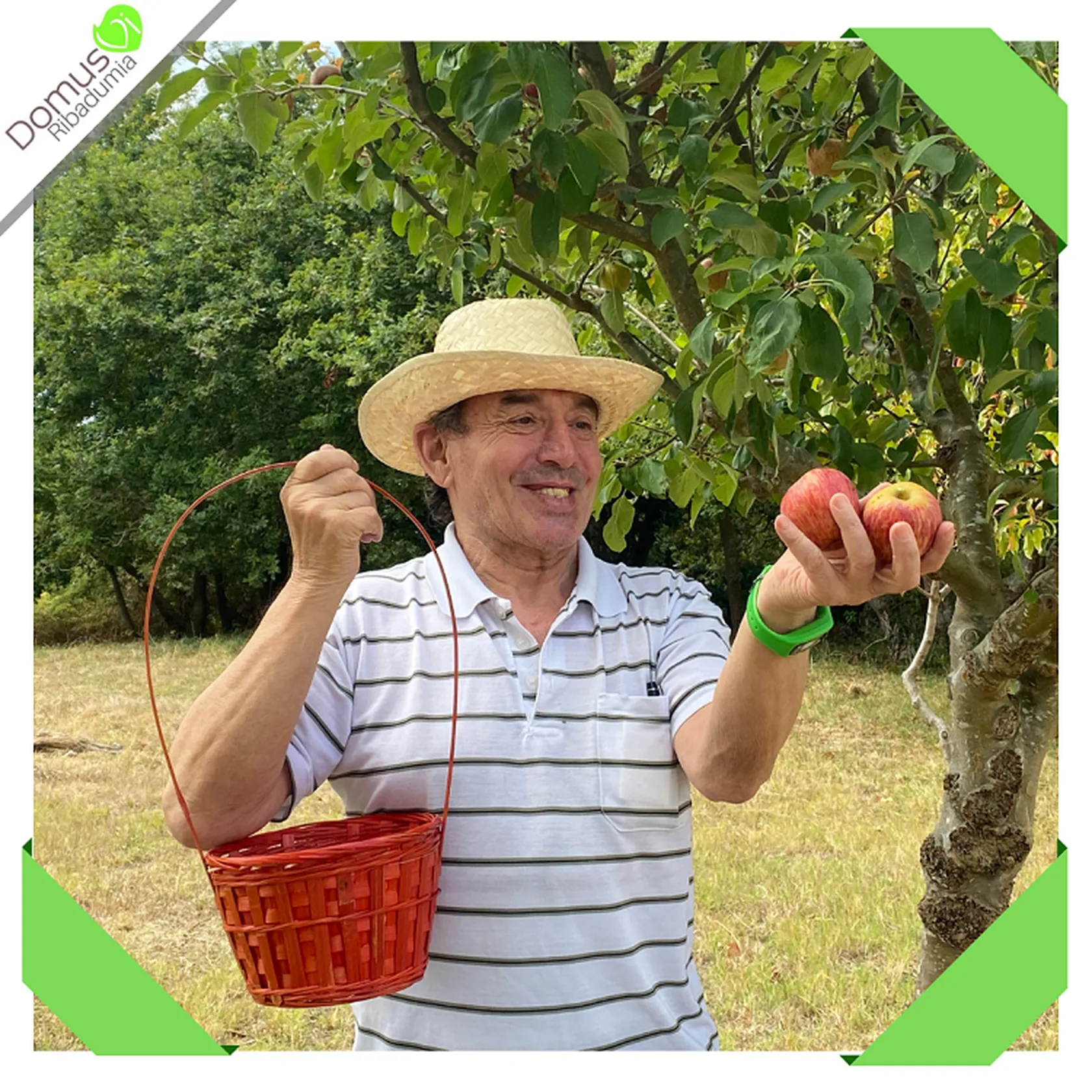 Recolectando-manzanas-TASOC-DomusVi-Ribadumai.png