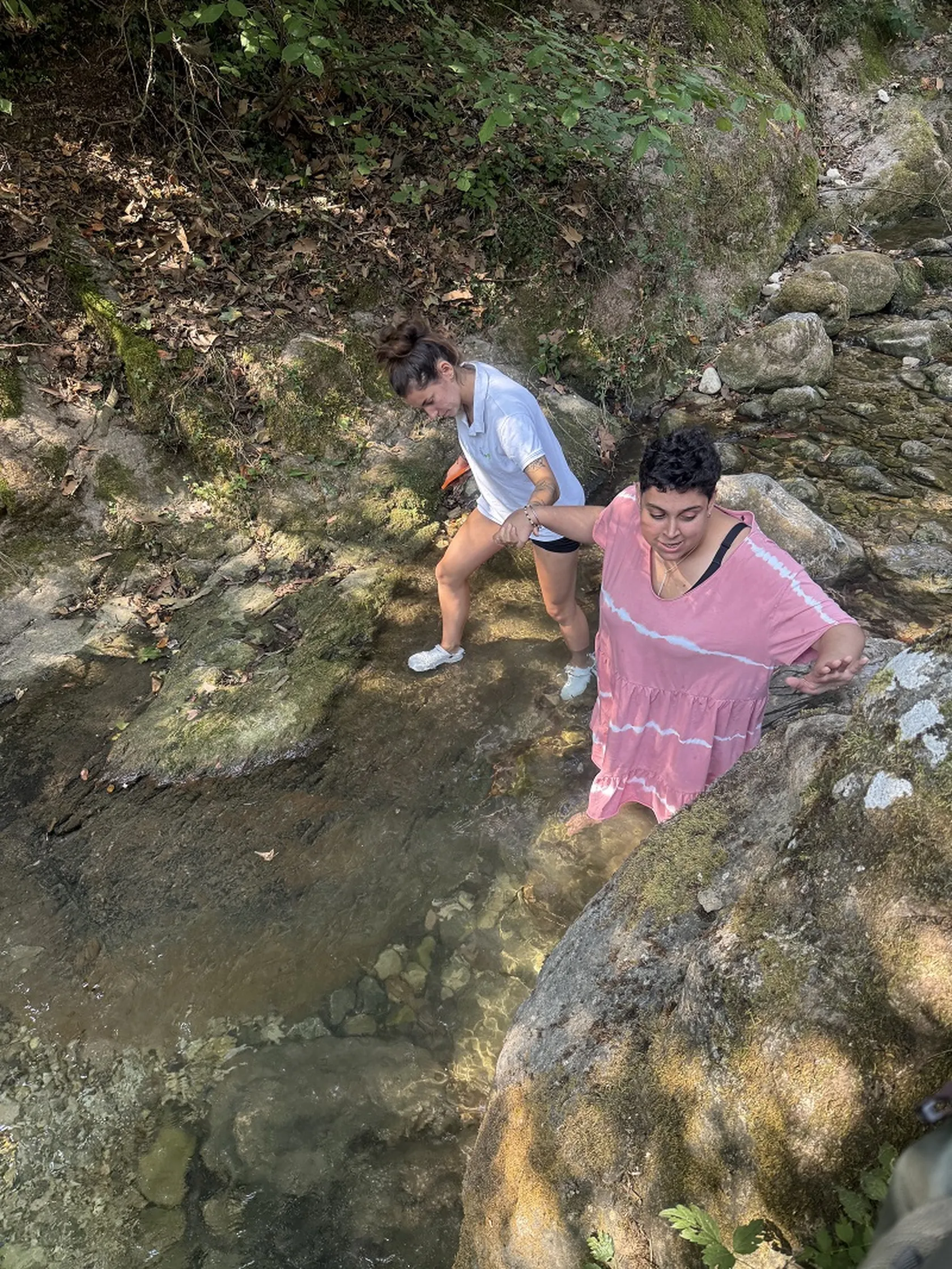 ed0363f6-94bc-43c9-9537-b06f7ec25e61.jpeg