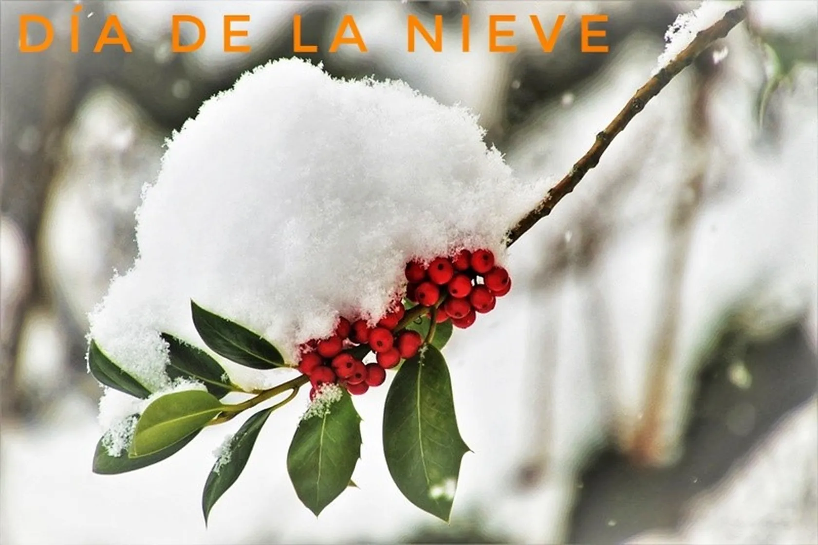 portada-nieve.png