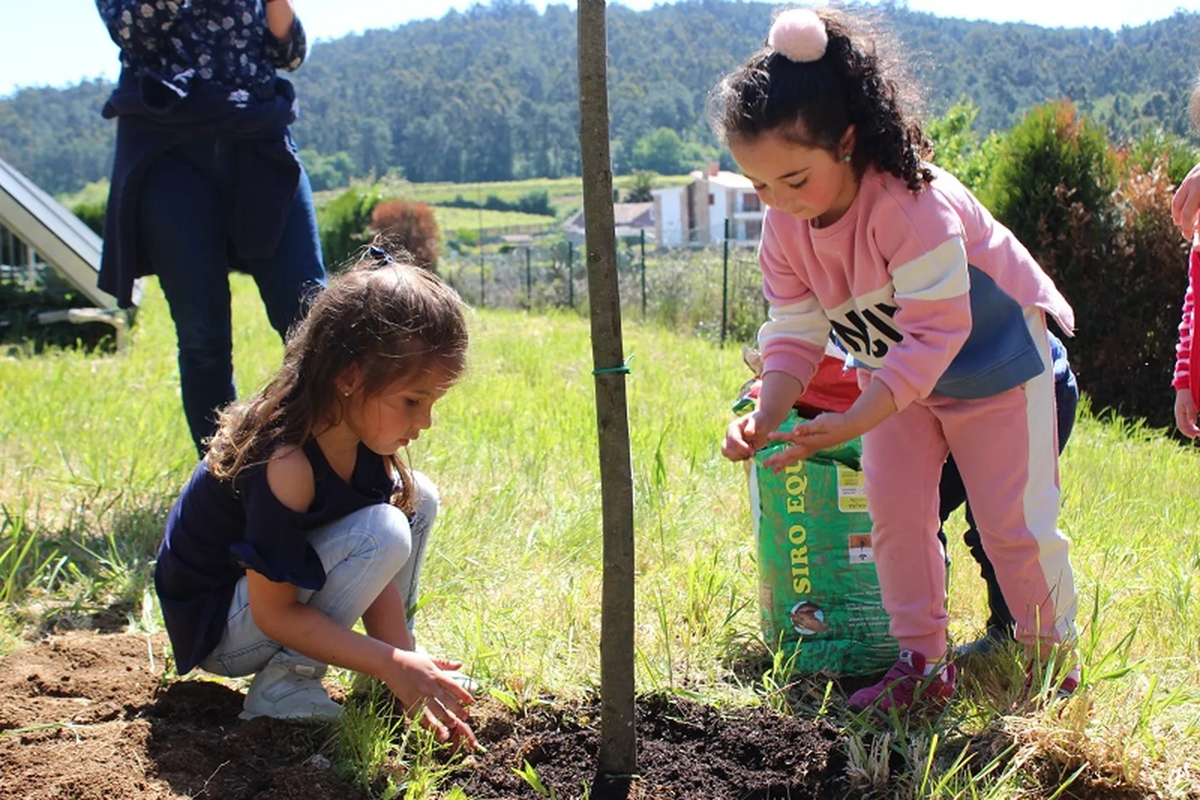 Día-del-Arbol-DomusVi-Ribadumia-CRA-Ribadumia-Mayo-2019-4.jpg