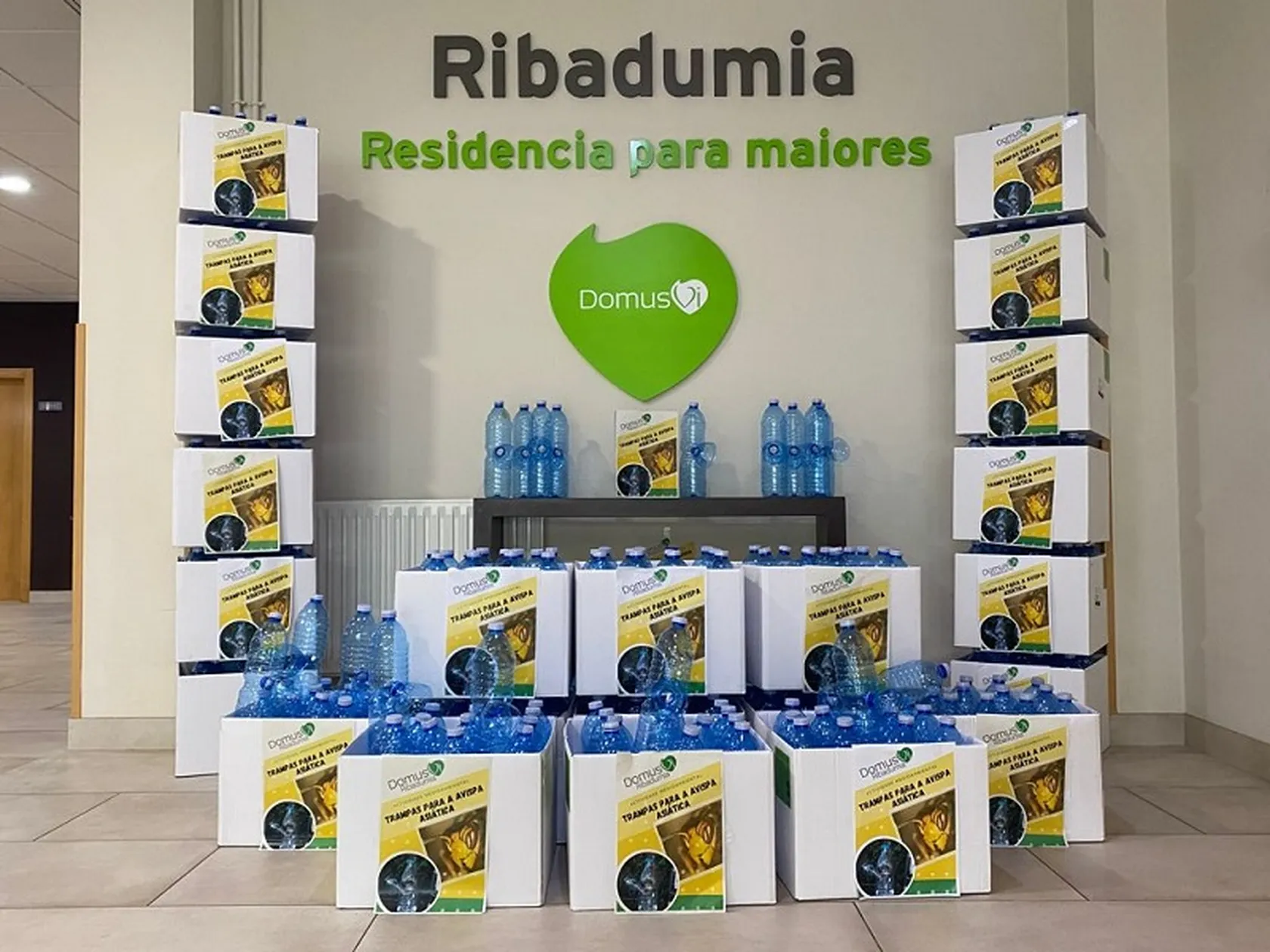 Trampas-para-velutinas-DomusVi-Ribadumia-Residencia-Geriatrico.jpeg
