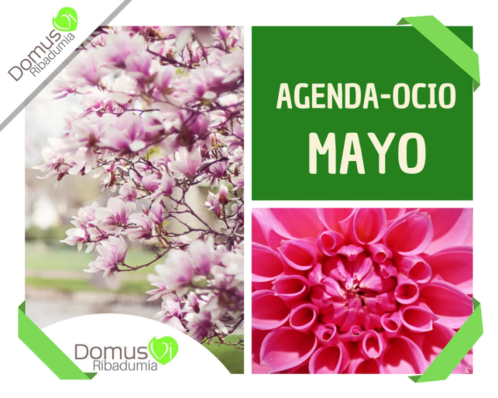 agenda-del-mes-de-mayo-DomusVi-Ribadumia-2019-TASOC.png