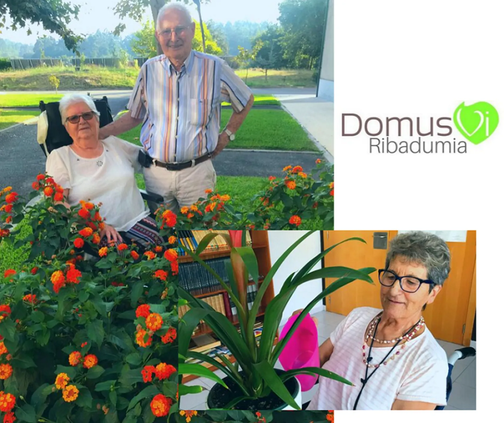 Taller-de-jardinería-DomusVi-Ribadumia-septiembre-2019-a.png