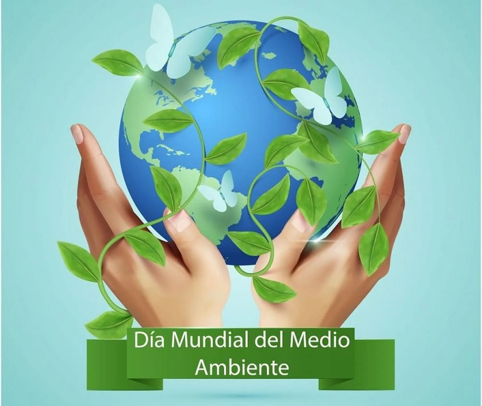 ambiente-1024x1020-1-800x675-1.jpg